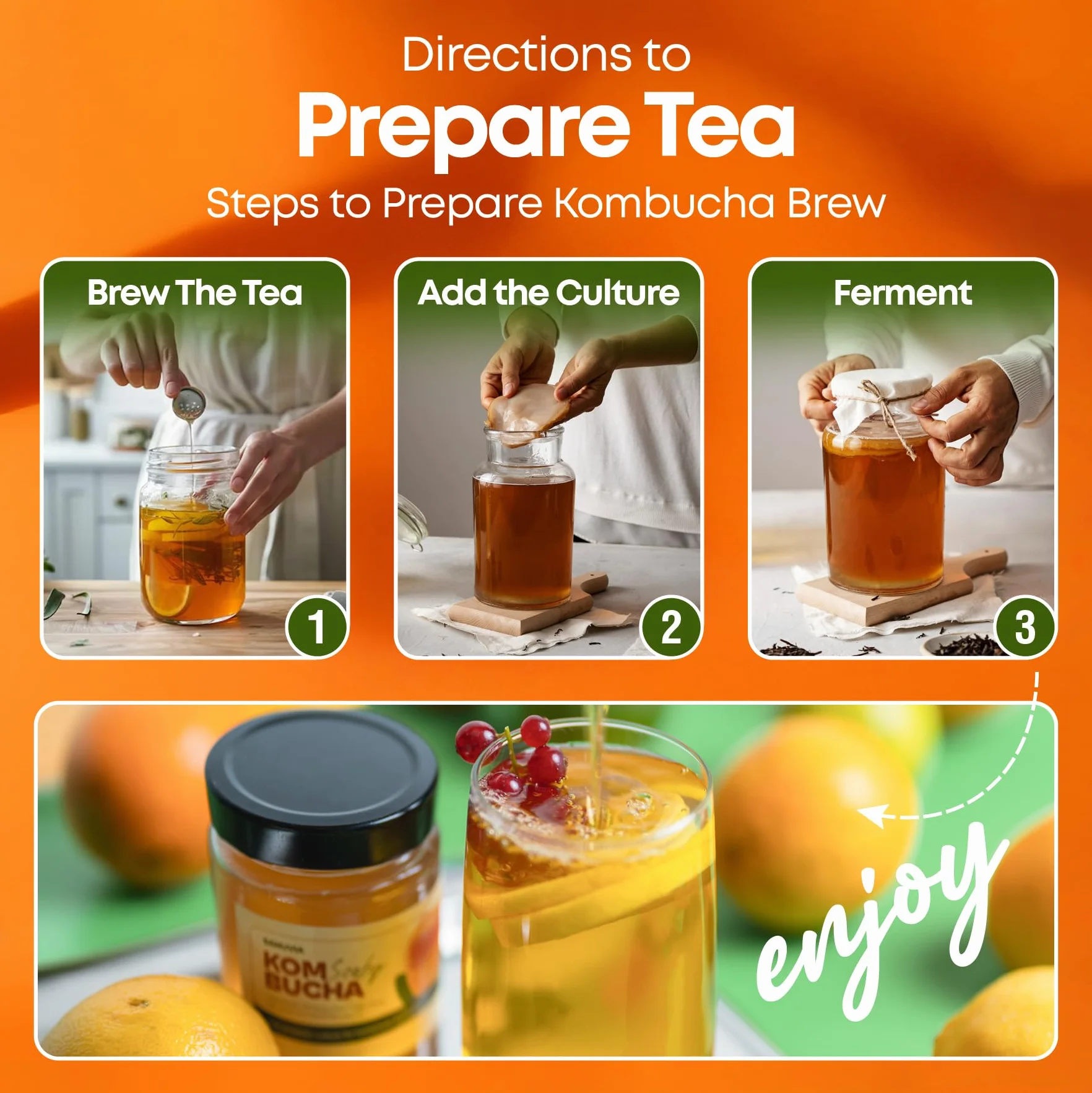 SANUVIA Kombucha SCOBY Starter Culture – Grzybek herbaciany z 300 ml herbaty startowej w szklanym słoiku – Wegański, żywa kultura, wielokrotnego użytku – Instrukcje na etykiecie – 100% naturalny