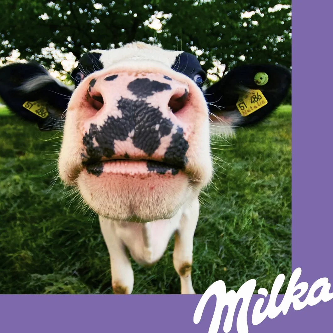 Milka Czekoladki mleczne z nadzieniem z orzechów laskowych 165 g
