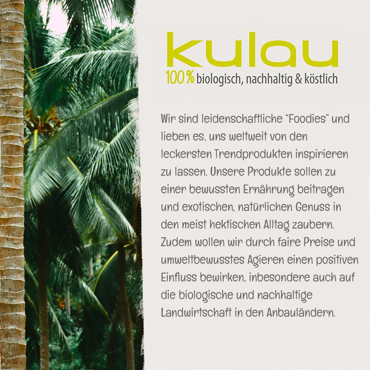 KULAU Bio Nori przekąska 16 x 4 g, chipsy z palonych liści alg nori z naturalną solą morską bez sztucznych dodatków