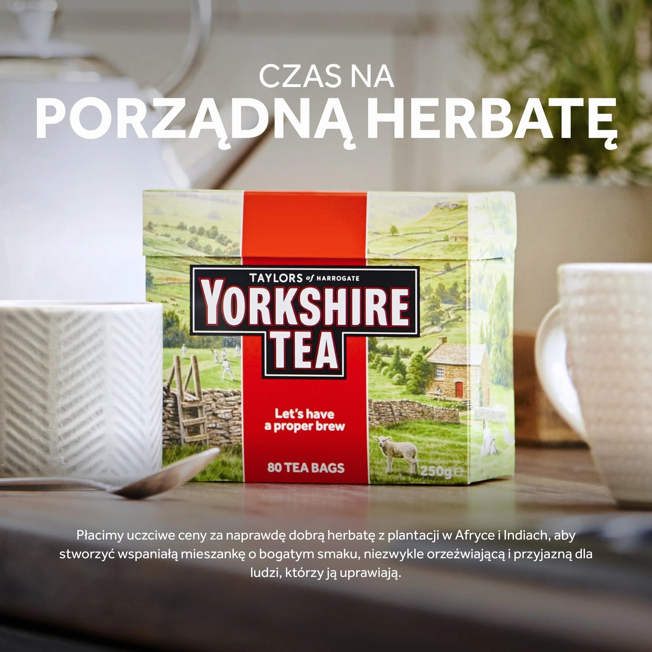 Yorkshire Tea Mocna Czarna Herbata Prawdziwa Angielska Mieszanka 480 Torebek
