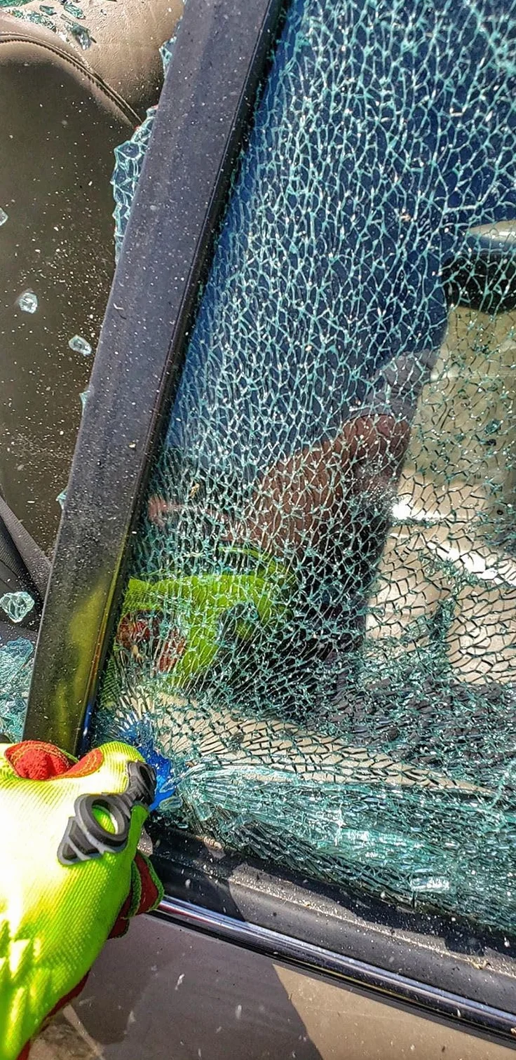 resqme Oryginalny brelok do kluczy awaryjnych do ucieczki z samochodu, przecinak pasów bezpieczeństwa i zbijak do szyb 2 w 1, wyprodukowany w USA, Zieleń wojskowa