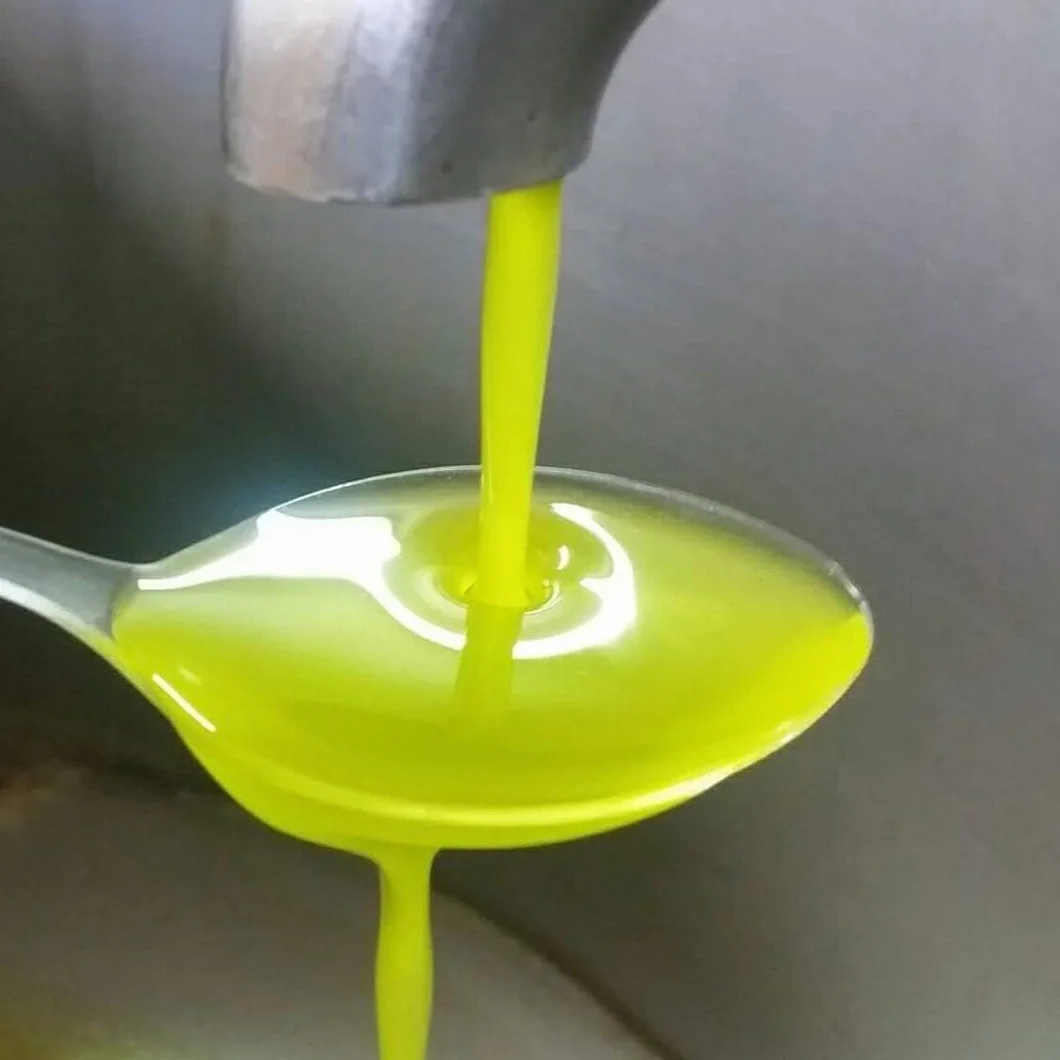 Terre Rosse - Włoska Organiczna Oliwa z Oliwek Extra Virgin Tłoczona na Zimno - Monokulturowa Moraiolo - Certyfikaty DOP Umbria i Kosher/P - Olive Harvest 2024 - Opakowanie 3 Butelki 500 ml