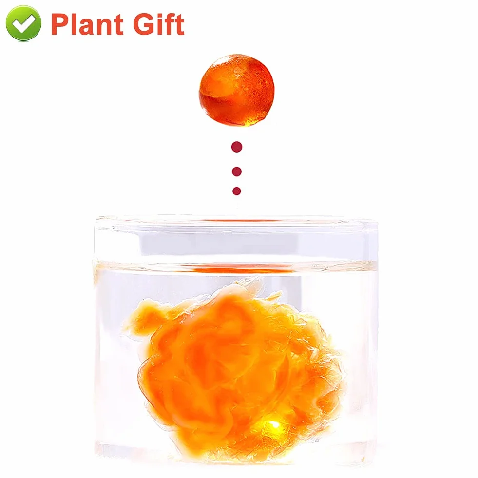 Plant Gift Natural Wild Peach Gum 230G/8.11oz jadalne łzy brzoskwiniowe, tao jiao brzoskwiniowe żywice, dodatki do żywności za darmo