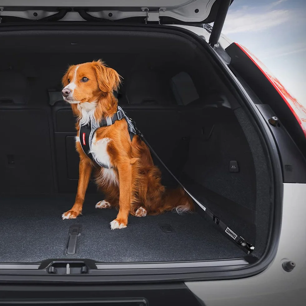 EzyDog Pas samochodowy dla psa - Click ISOFIX regulowany do uprzęży z kotwicą ISOFIX, wytrzymały nylonowy pas bezpieczeństwa do samochodu (43–65 cm, czarny)