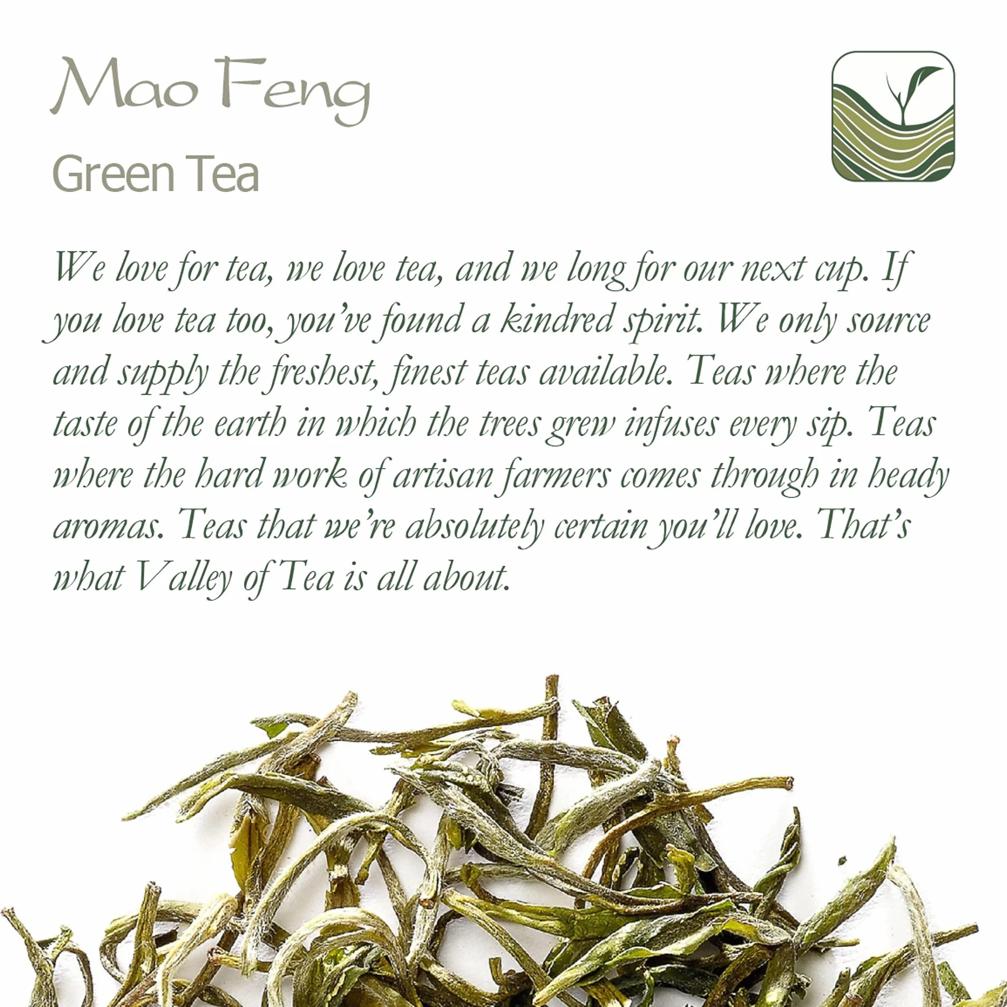 Mao Feng Green Tea China - Famous Chinese Tea From Huang Shang