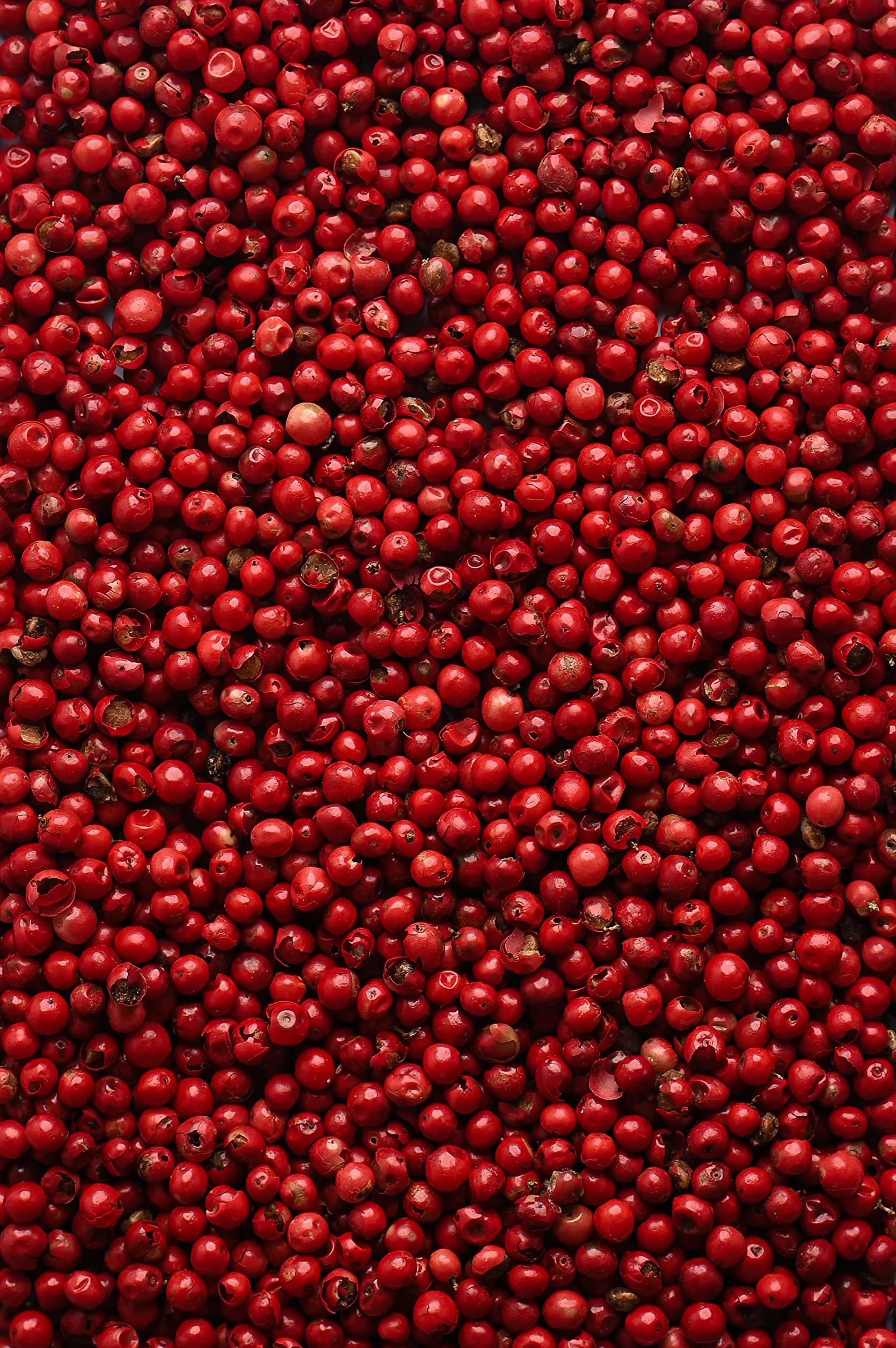 Biojoy Ekologiczny Różowy pieprz cały (100 g), jagody pieprzu różowego bez dodatków (Schinus terebinthifolia)