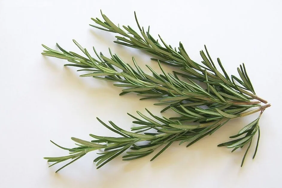 Malinowe ROZMARYN 100g Suszony Aromatyczny Wysoka Jakość