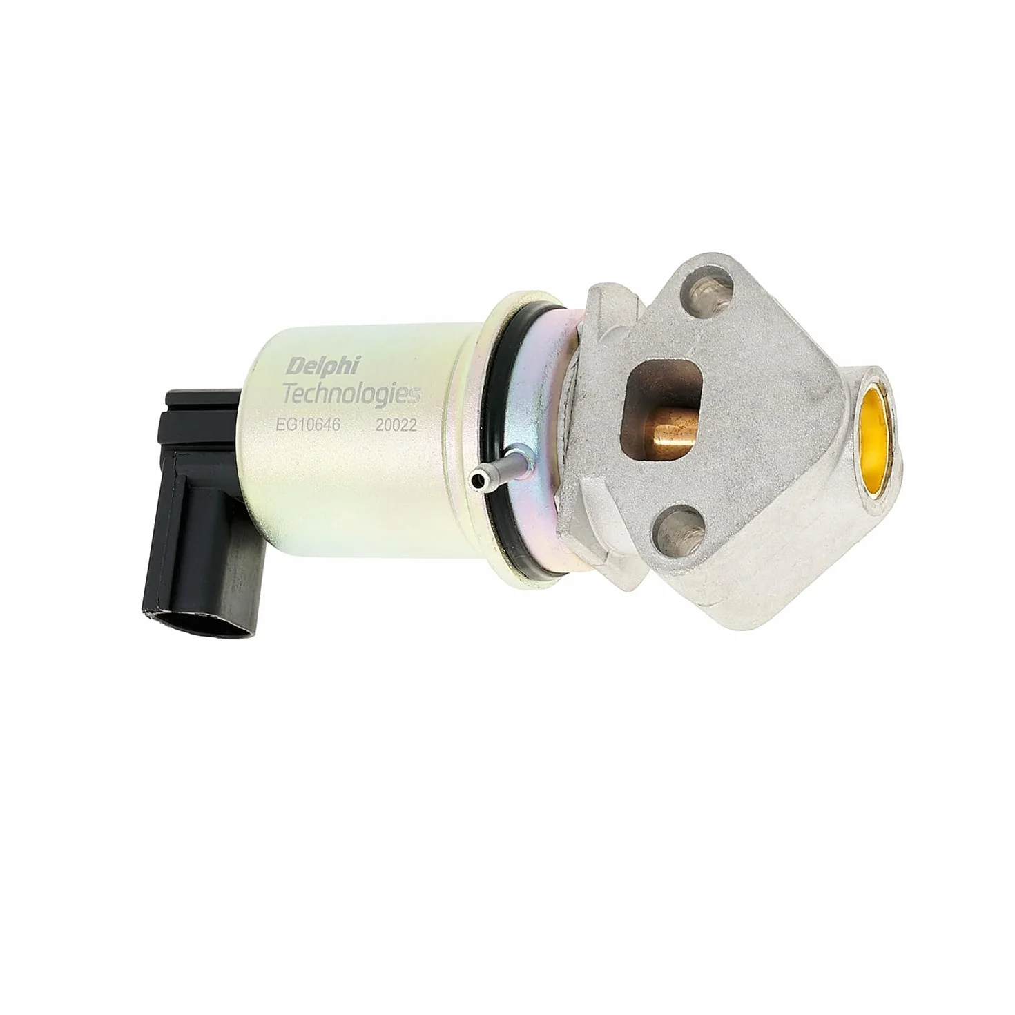 Delphi Technologies EG10646-12B1 Zawór EGR
