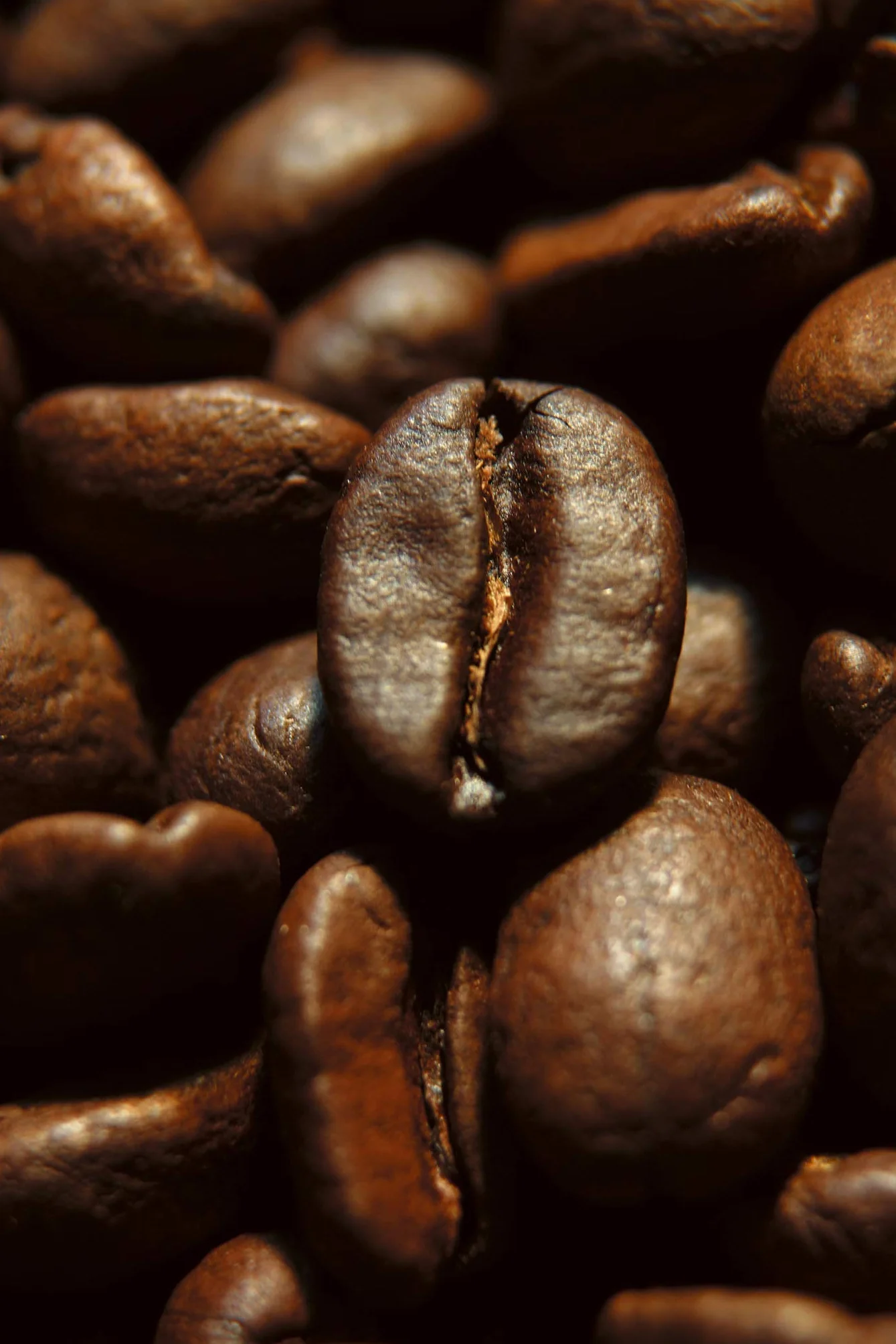 Caffè Corsini - Kawa Ziarnista Compagnia dell'Arabica, Aromatyczna i Kremowa, 1 kg