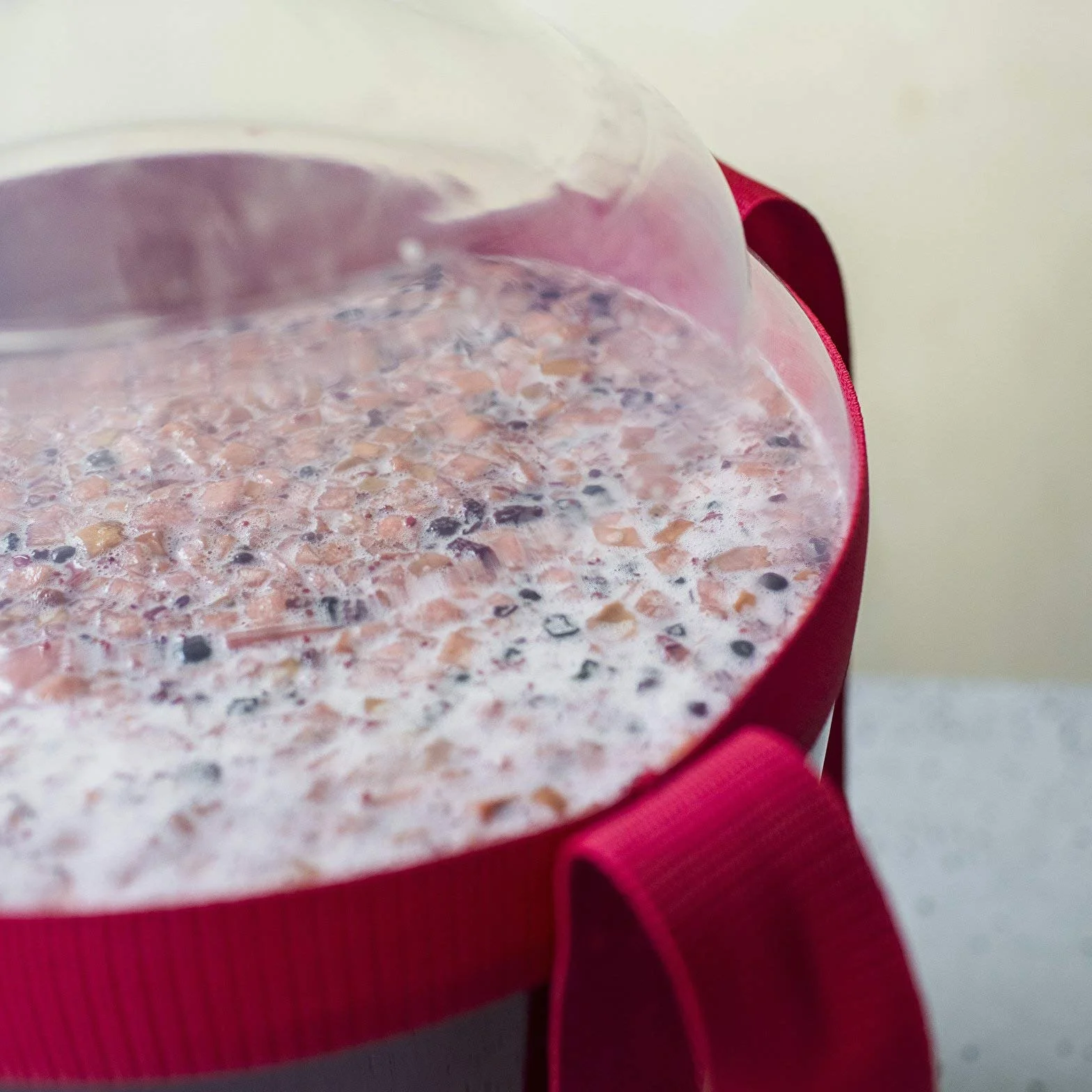 Browin drożdże restartowe 22 g na 25 l do wina Re-Ferment