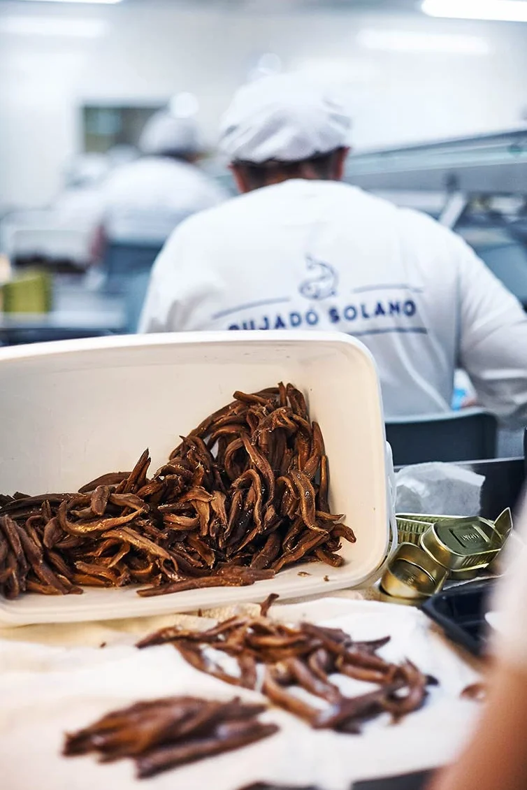 Pujado Solano Kantabryjskie Filety Anchois Oliwa Z Oliwek | Ręcznie robione anchois z Morza Kantabryjskiego | Sardele Kantabryjskie — 4 puszki po 50 g każda