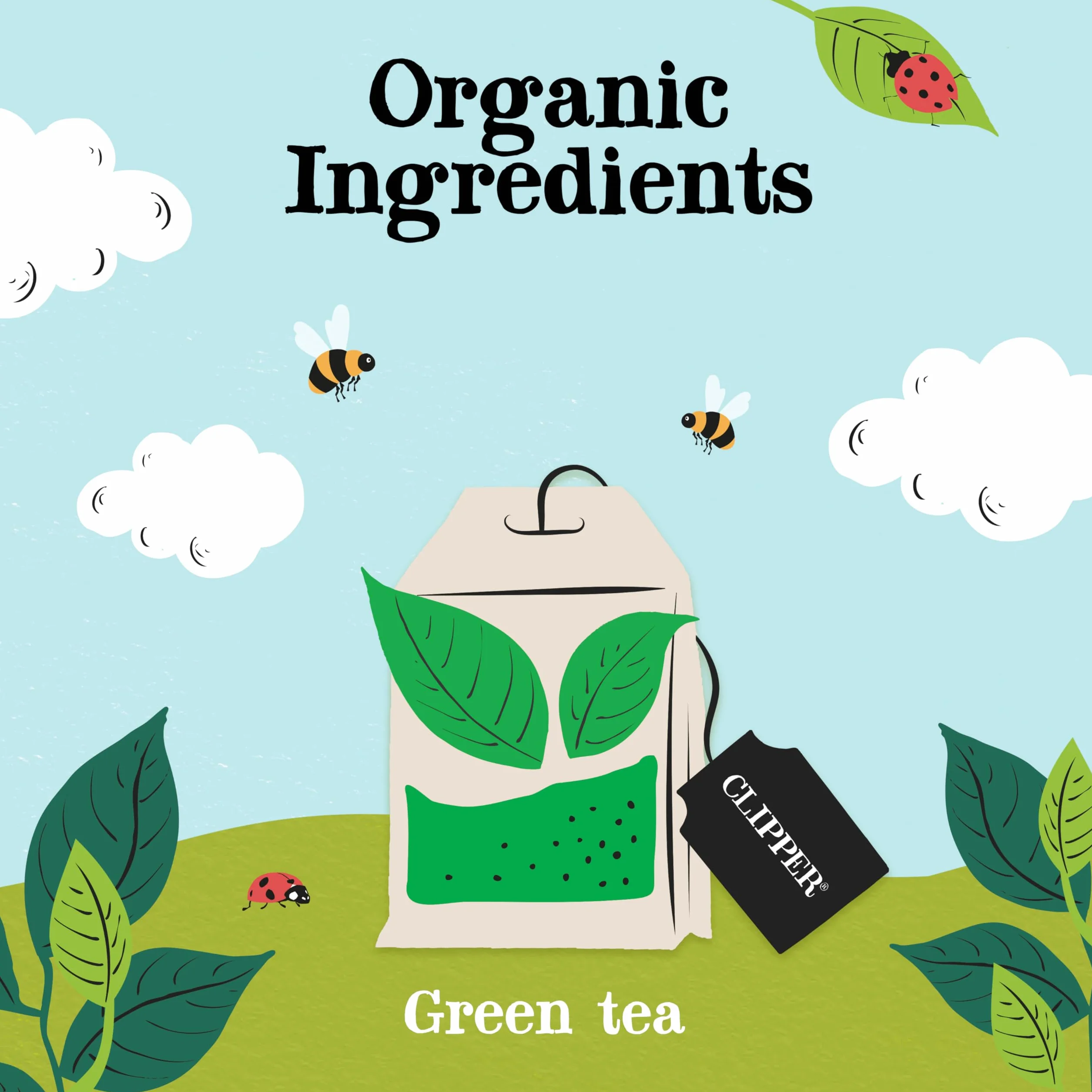 Clipper Fairtrade Pure Green Tea 80 torebek