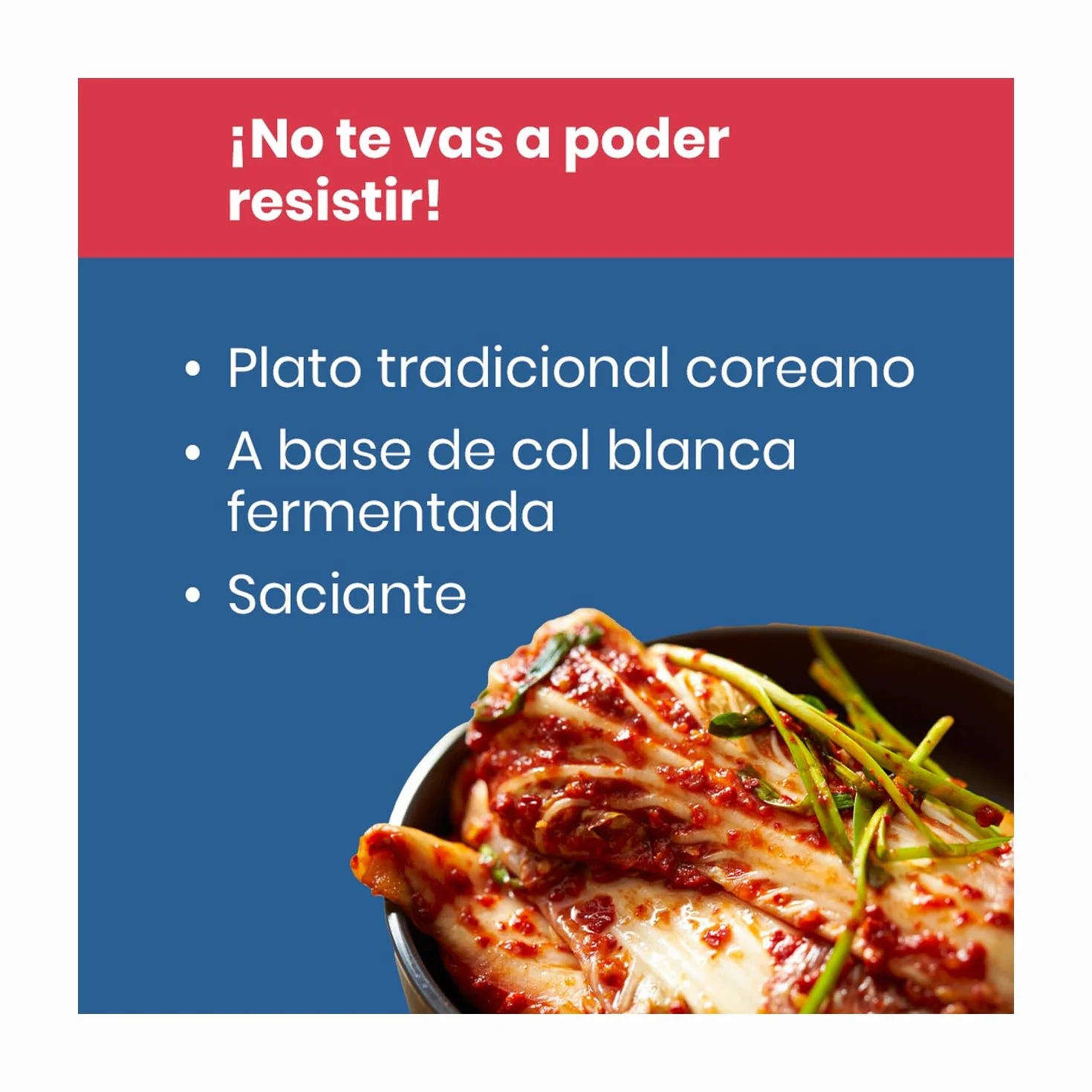 Kimchi Bio 420 g
