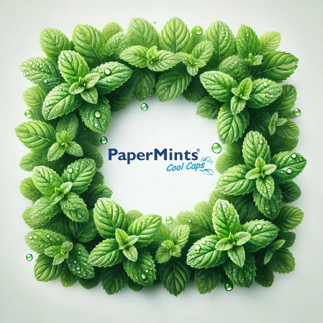 Papermints kulki do świeżego oddechu