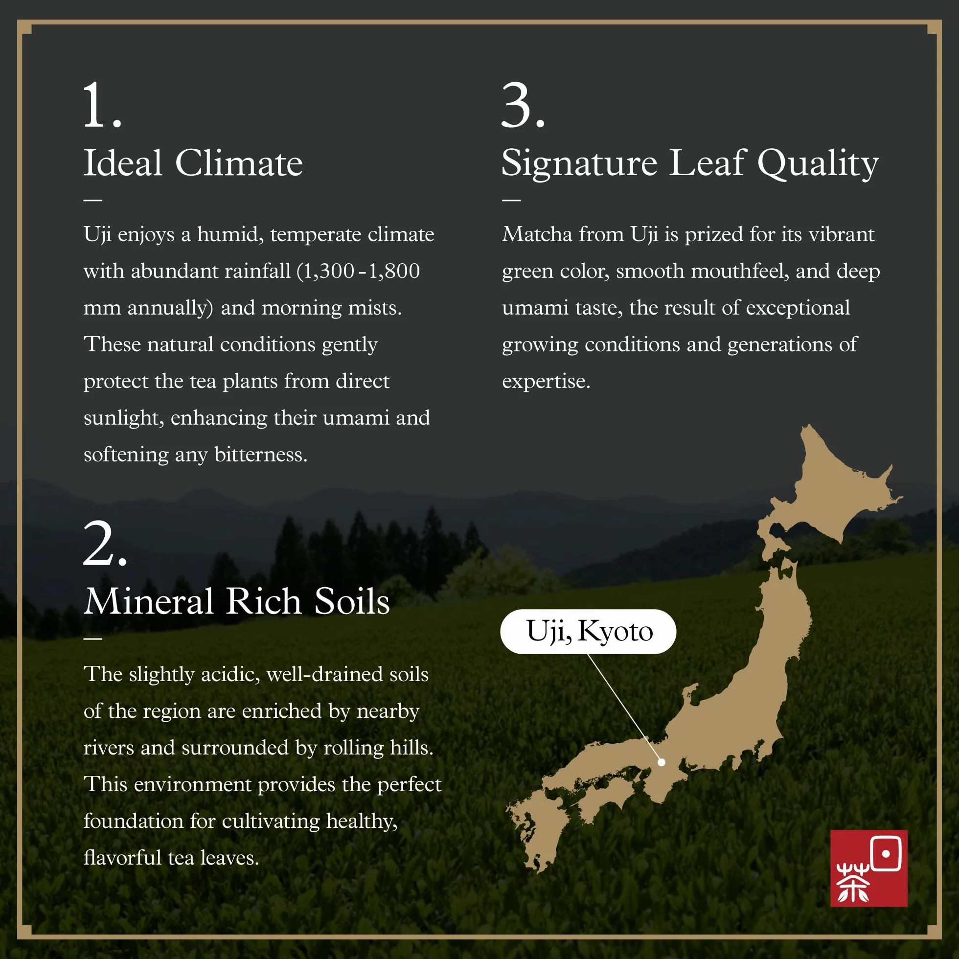 Ocha & Co. Kyoto Uji Matcha - Ceremonial Grade Matcha Powder - Najwyższej jakości tradycyjny kamień frezowany japońska zielona herbata matcha w proszku, 50 g/1,75 uncji.