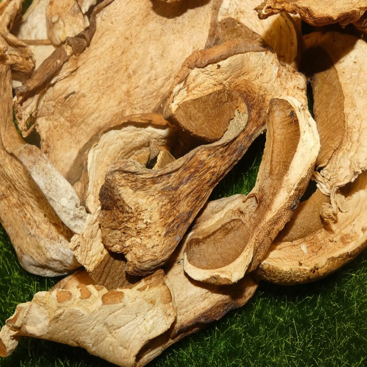 Zestaw 6x borowiki słoik 150g