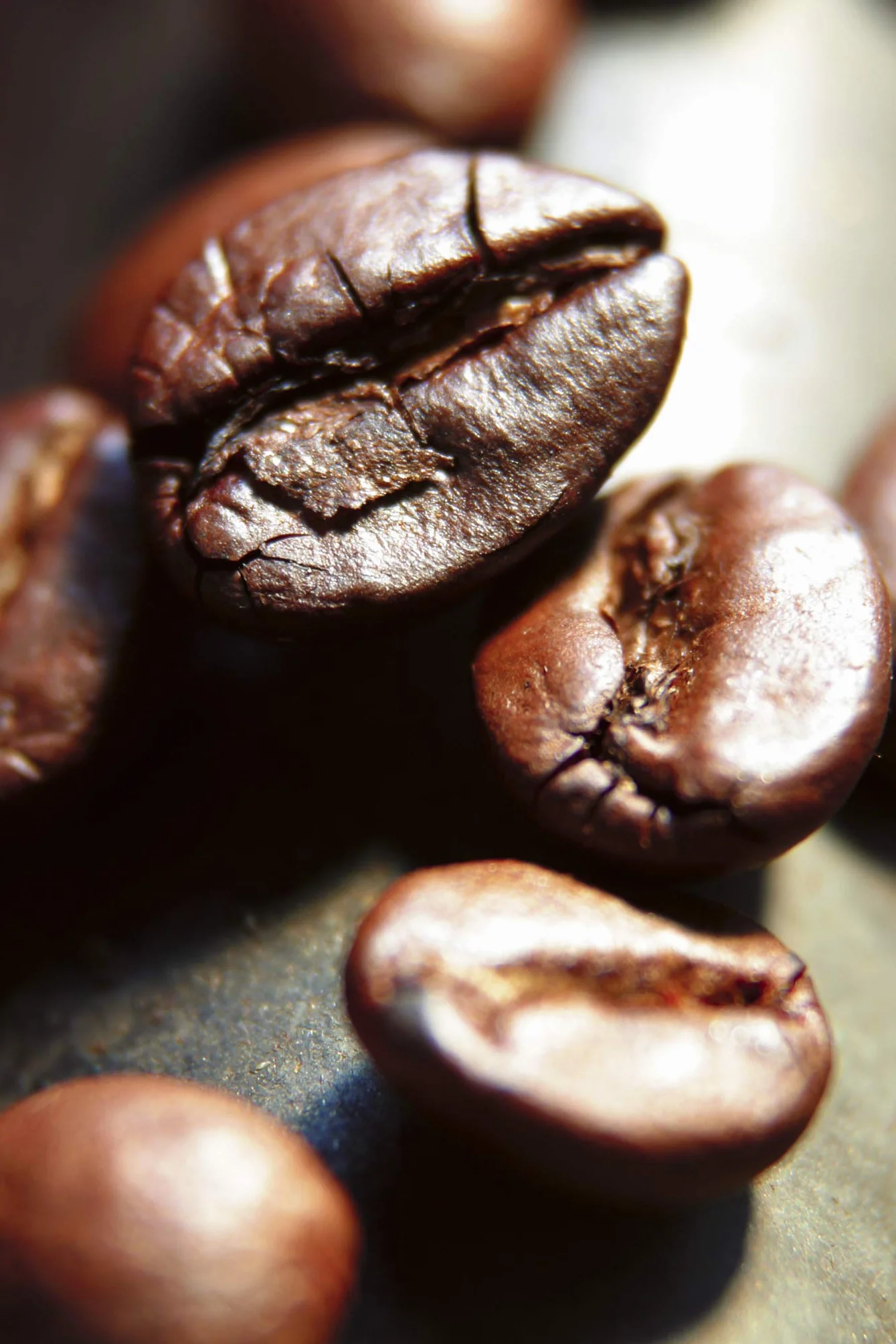 CaffèCorsini Compagnia Dell'Arabica Colombia 100% Arabica Caffè Torrefatto In Grani Cremoso E Speziato Monorigine Colombia Supremo 3 x 250 g