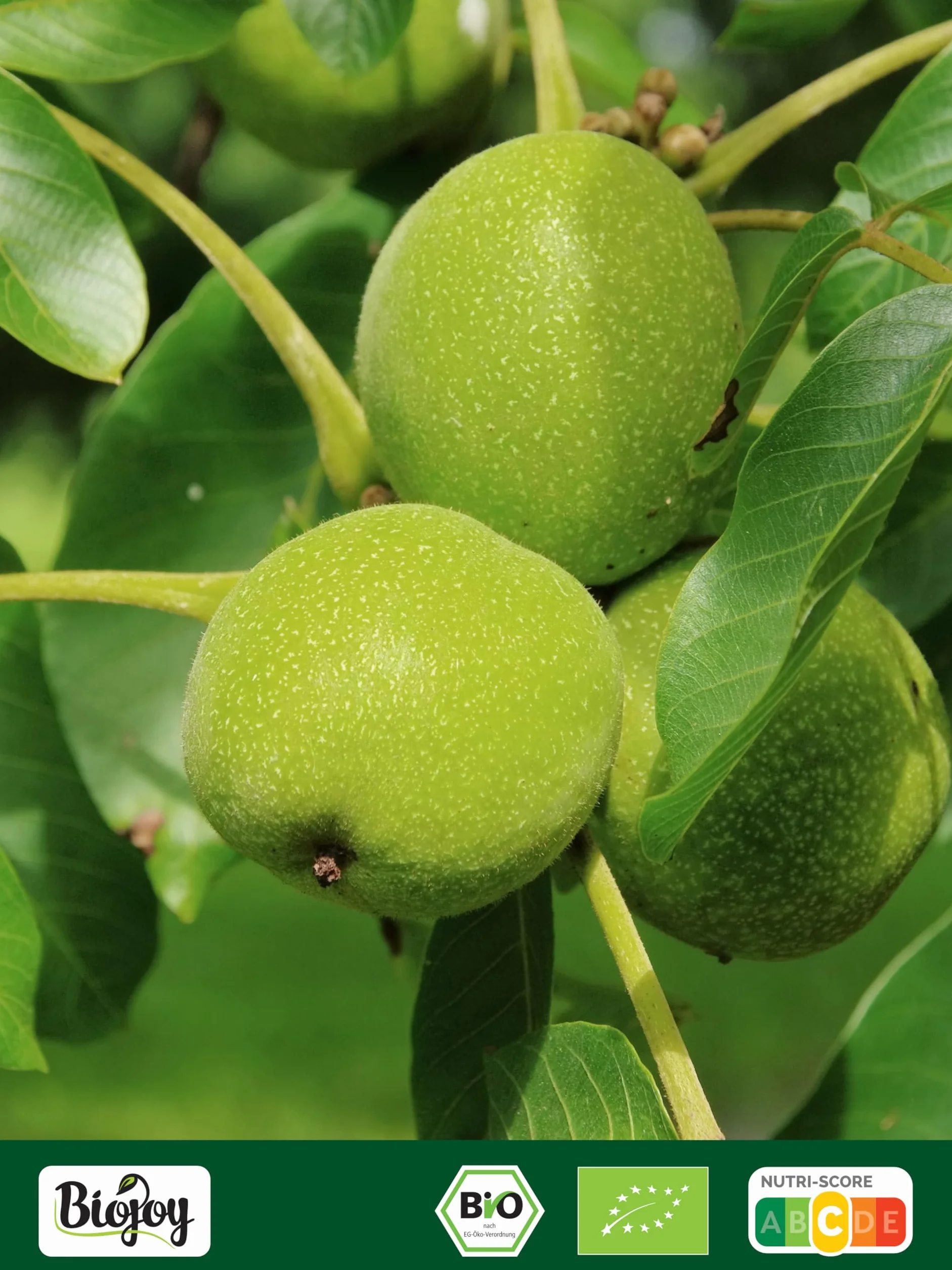 Biojoy BIO-Orzechy włoskie cząstki bez skorupy Juglans regia 1 kg