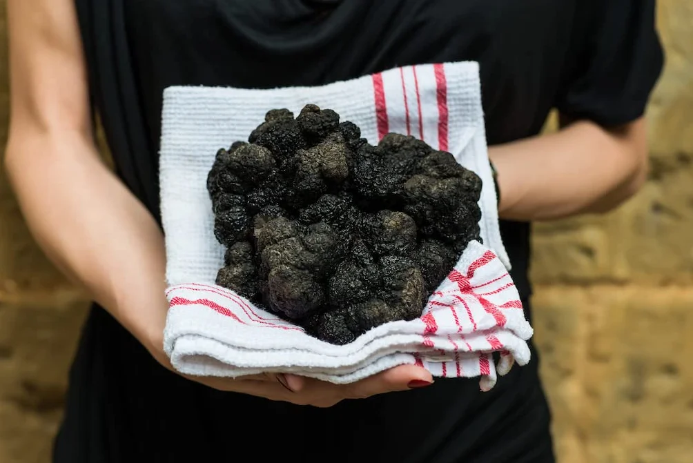 Zestaw kulinarnego oleju truflowego (2 x 250 ml) z prawdziwym czarnym i białym truflem. Z czystego oliwy z oliwek. Do sosów i doprawianiu potraw. Odpowiedni dla diety wegańskiej i bezglutenowej