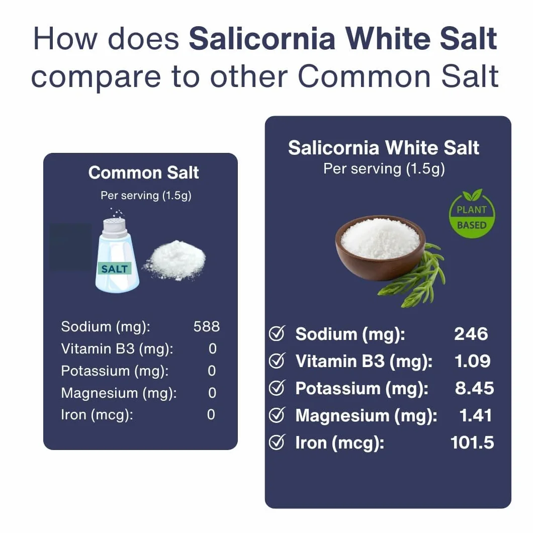 SaltWise Salicornia White Salt Low Sodium Salt Substitute Plant-Based Mineral Salt Kosher 100% Natural 7.05 oz