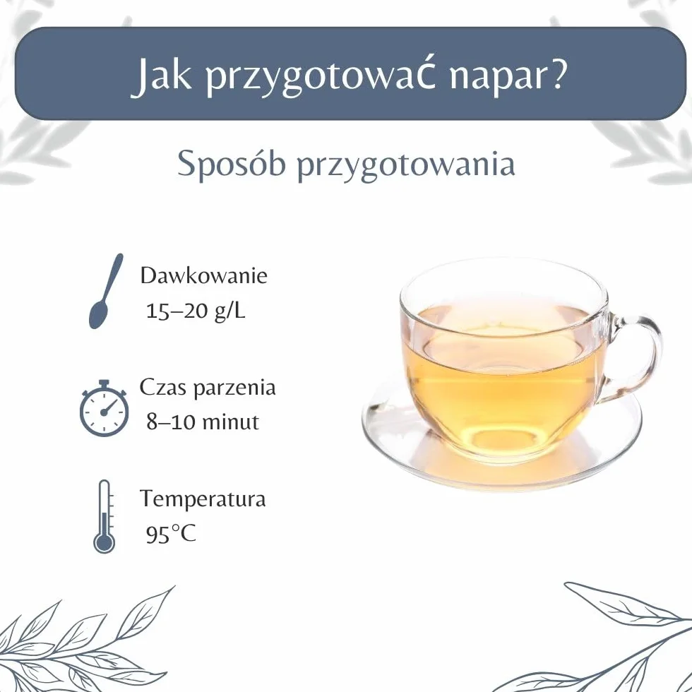 Luźne liście i łodygi bylicy pospolitej – herbata ziołowa i wspomagająca trawienie – Artemisia Vulgaris L. – uprawa ekologiczna – pakowana we Francji – torebka 100 g (50 filiżanek)