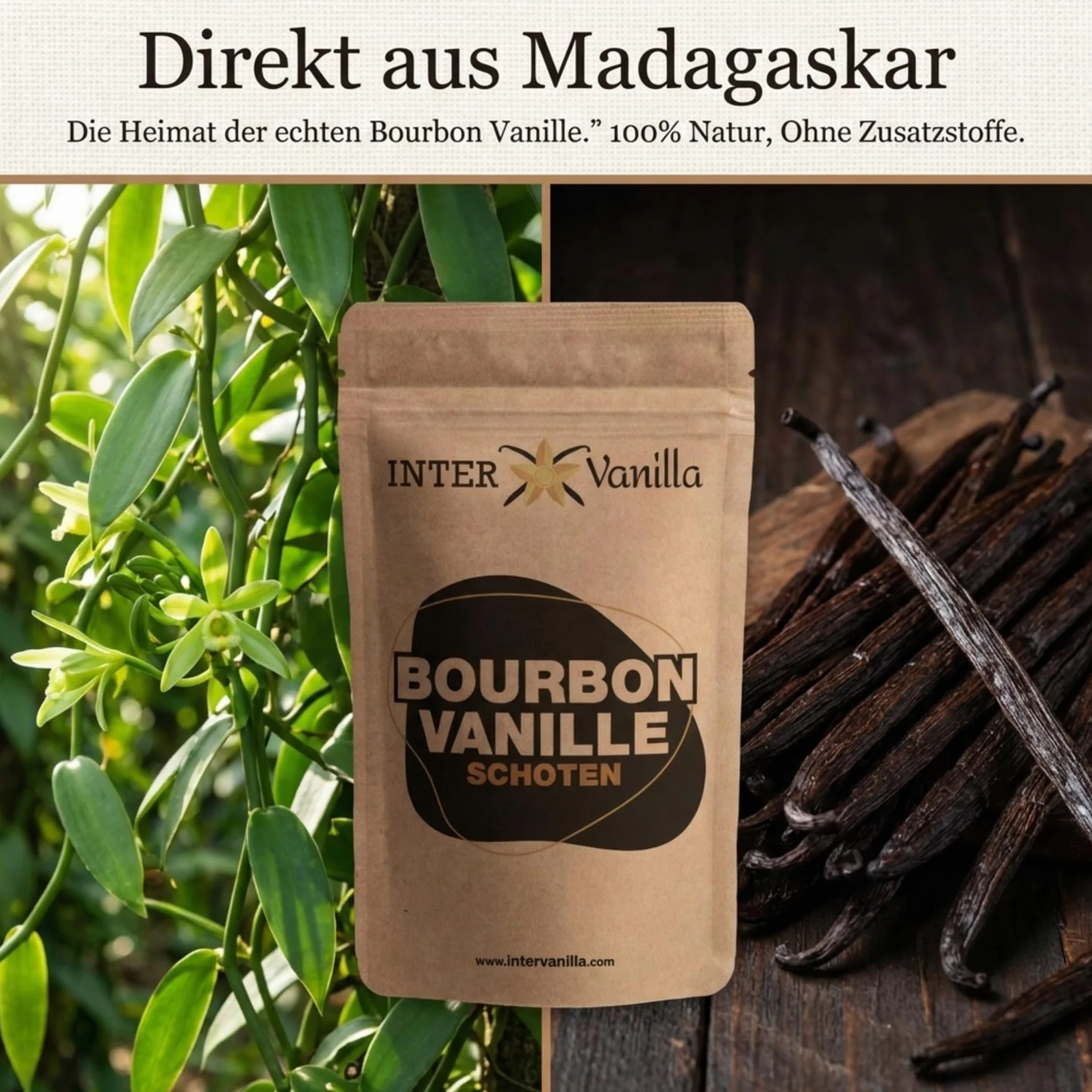 InterVanilla Bourbon Vanille schoten 25 sztuk, 12-13 cm Szorty waniliowe w jakości premium z Madagaskaru do pieczenia, gotowania i słodkich potraw