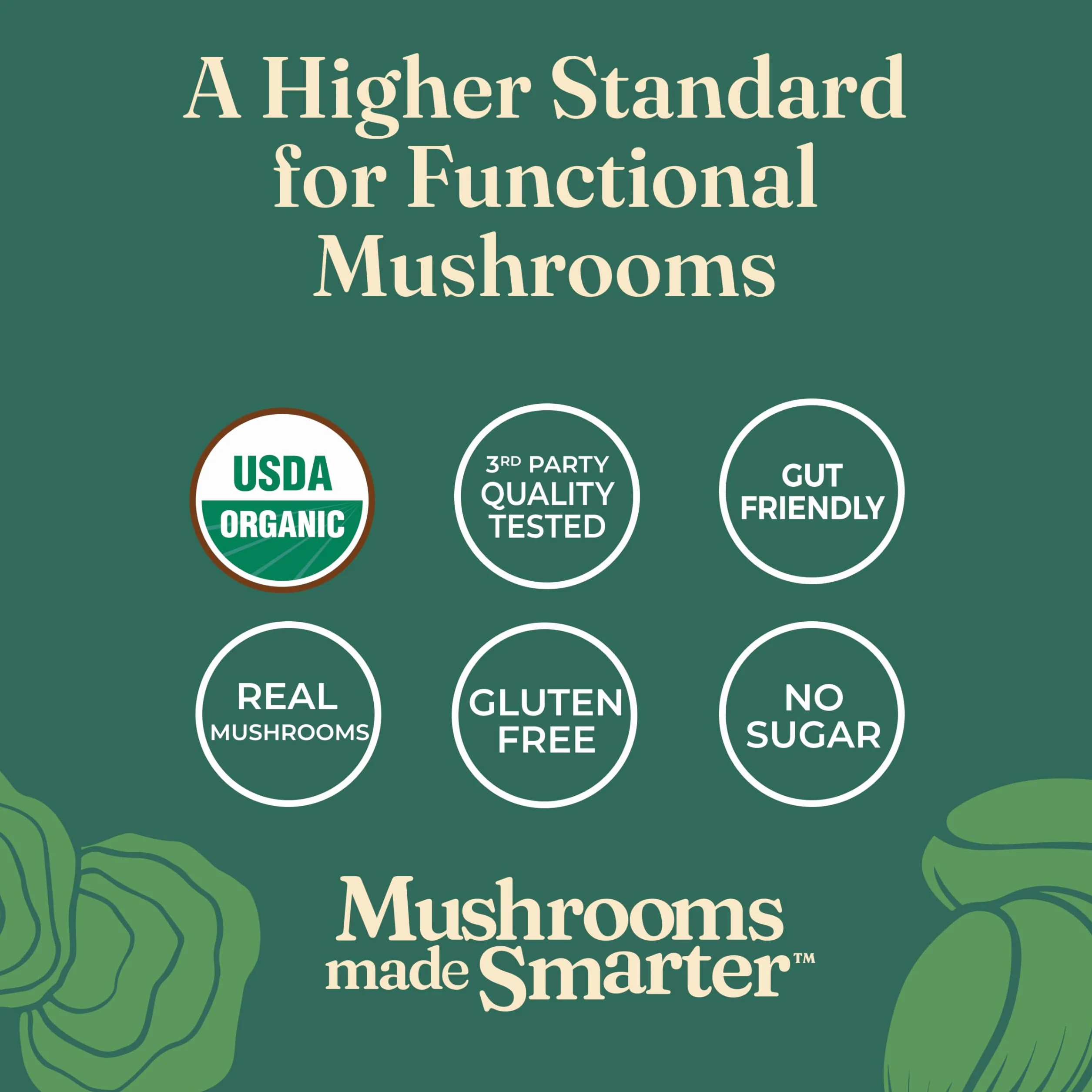 Four Sigmatic Chaga Mushroom Elixir | Coffee Alternative with Organic Chaga Mushroom Powder, Rose Hips & Mint | Immune Support & Overall Wellness, 0.1 Oz (Pack of 20)