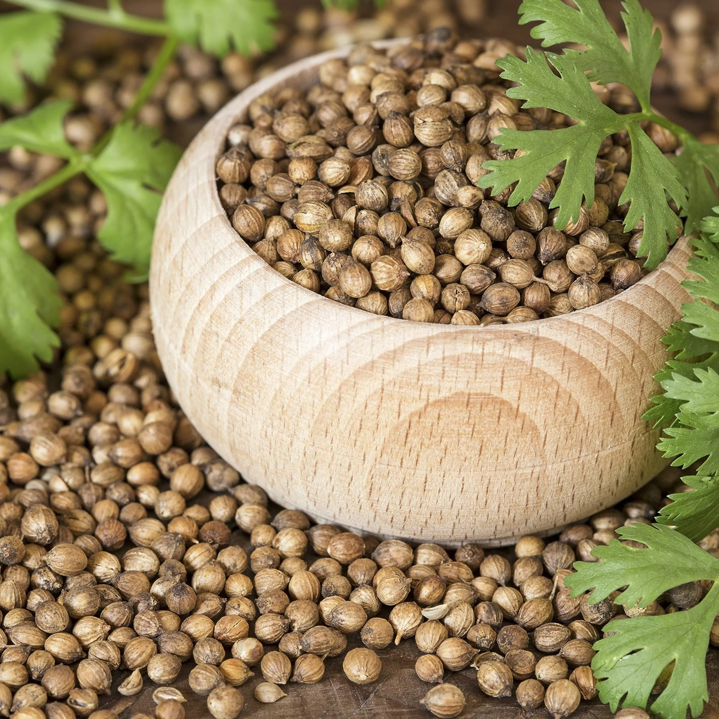 Nasiona kolendry 500 g naturalne całe wegańskie