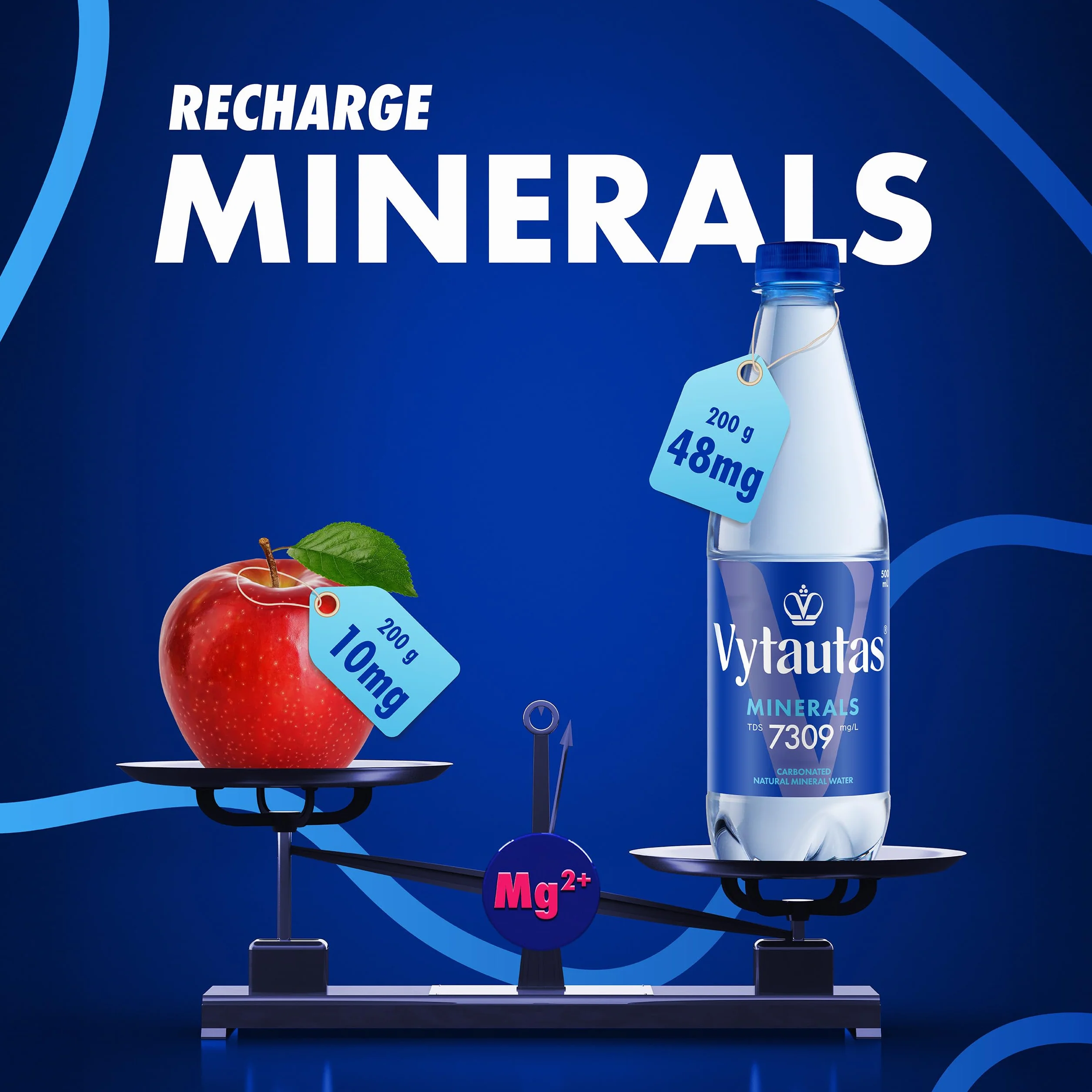 VYTAUTAS Woda Mineralna Gazowana 500 ml 12 sztuk Wysoka Mineralizacja