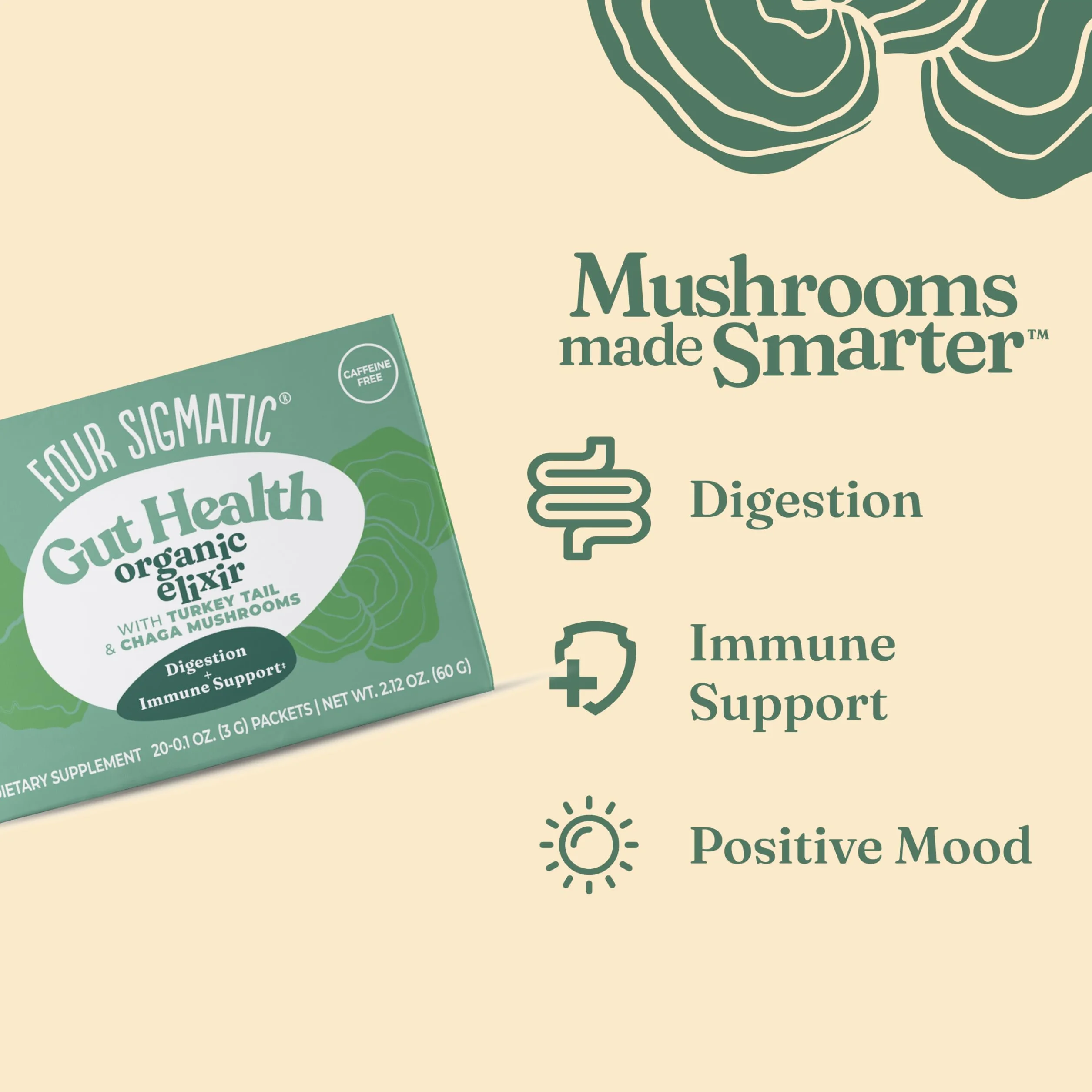 Four Sigmatic Chaga Mushroom Elixir | Coffee Alternative with Organic Chaga Mushroom Powder, Rose Hips & Mint | Immune Support & Overall Wellness, 0.1 Oz (Pack of 20)