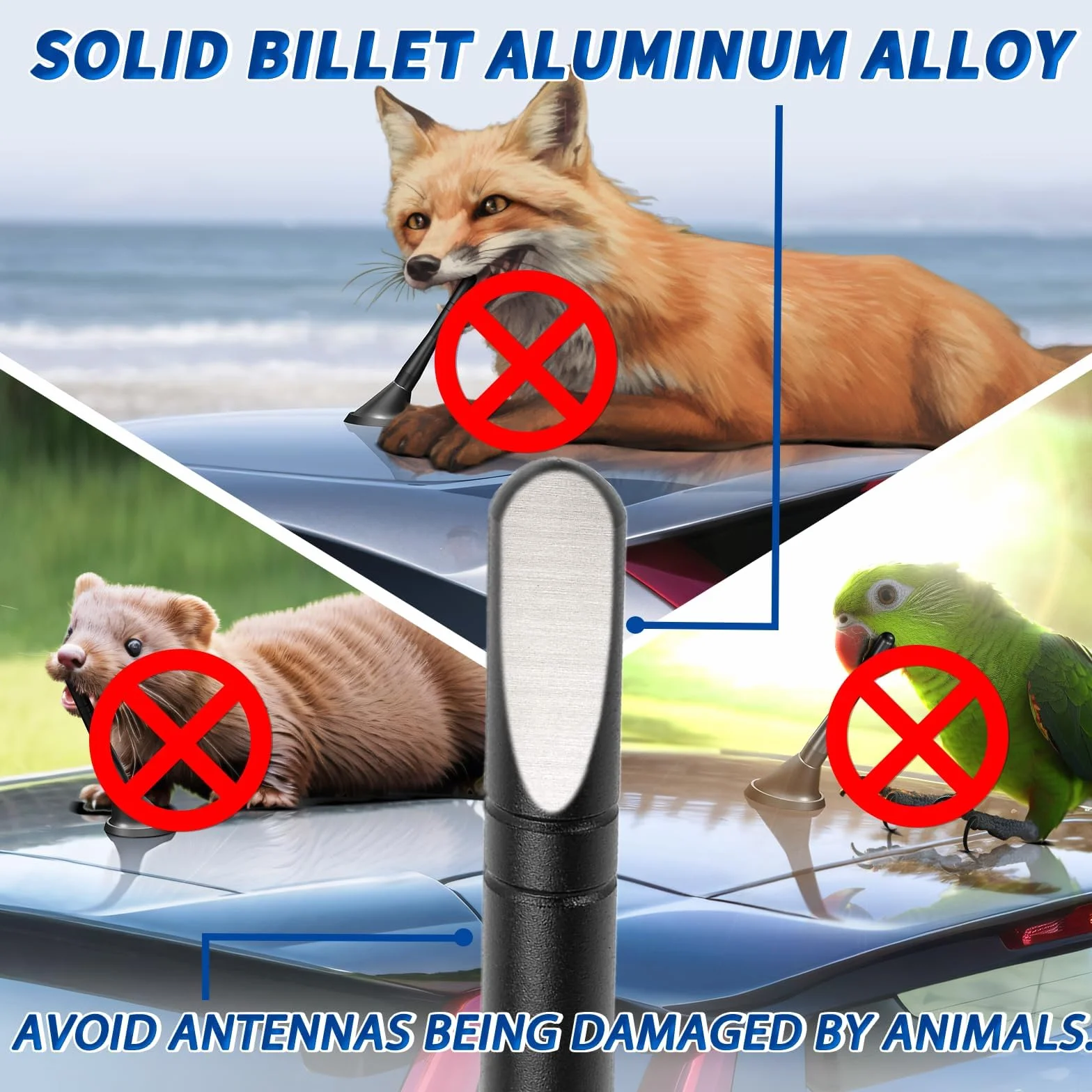 Bingfu Antena samochodowa, krótka, uniwersalna antena samochodowa, 10 cm, zamiennik dla optymalnego odbioru AM/FM
