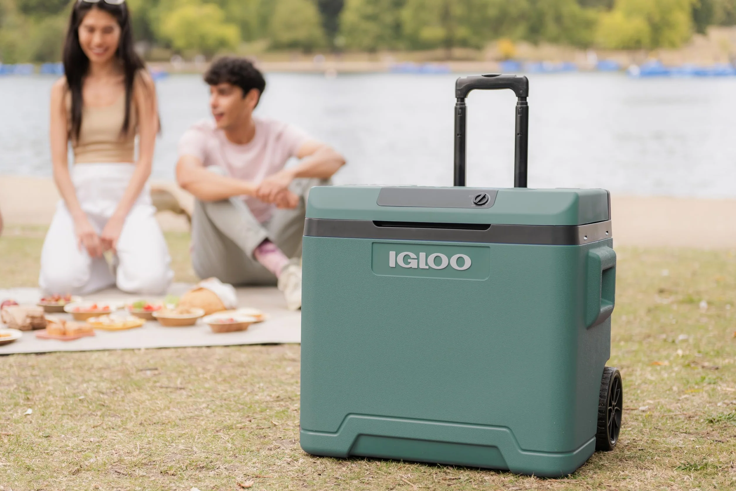 IGLOO IE42 elektryczna lodówka 42L – 12/230V – Termoelektryczna lodówka z kółkami i uchwytem teleskopowym do auta, kampera, kempingu i ciężarówki – Chłodzi do 20 °C poniżej temperatury otoczenia