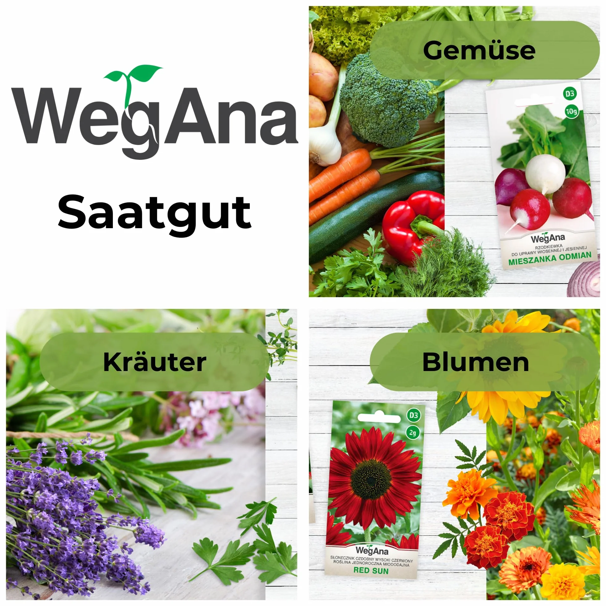 Mizuna musztardowiec 2g - WegAna