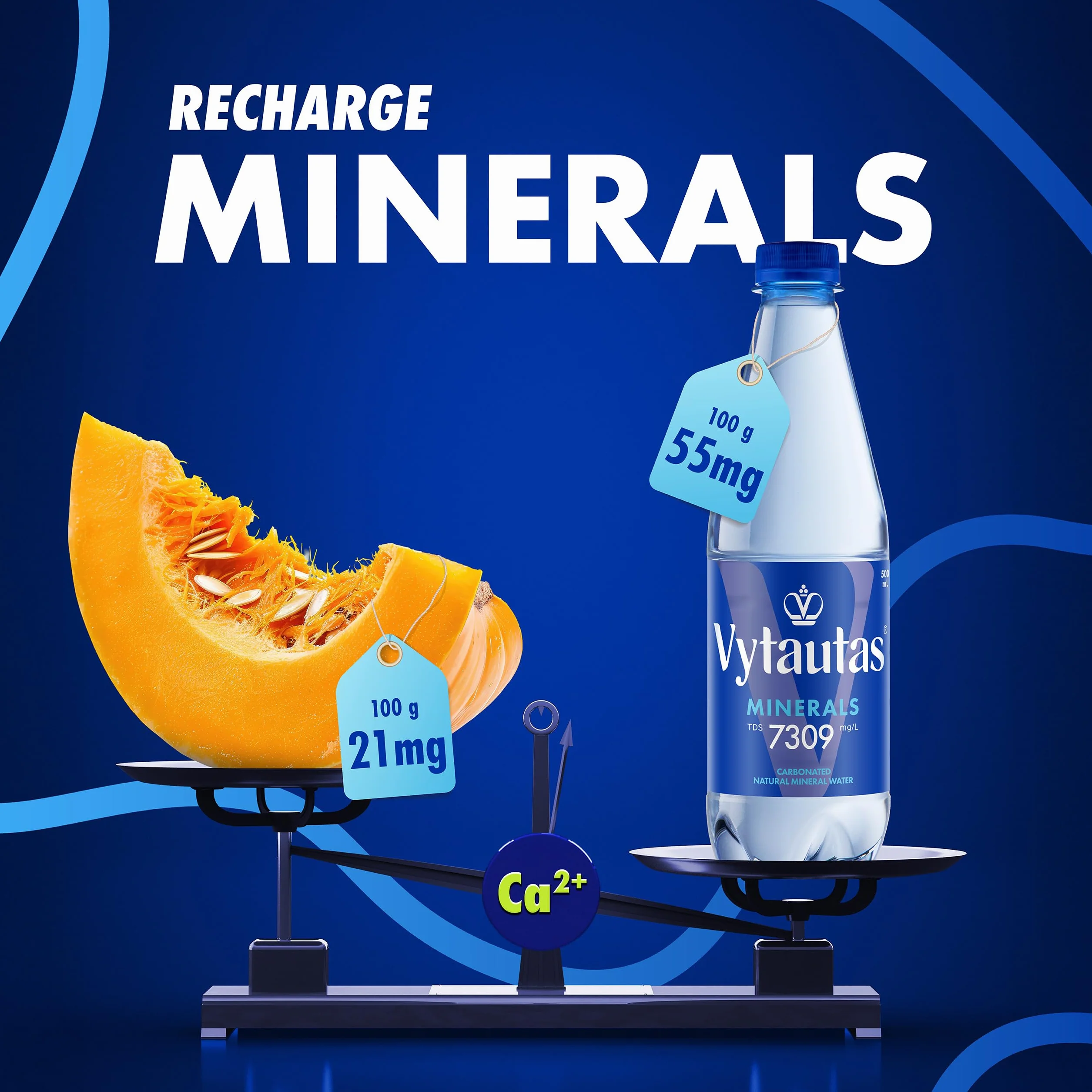 VYTAUTAS Woda Mineralna Gazowana 500 ml 12 sztuk Wysoka Mineralizacja