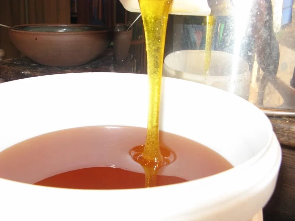 Miód niaouli z Madagaskaru - 300g - 100% naturalny, zbierany w regionie Manakara
