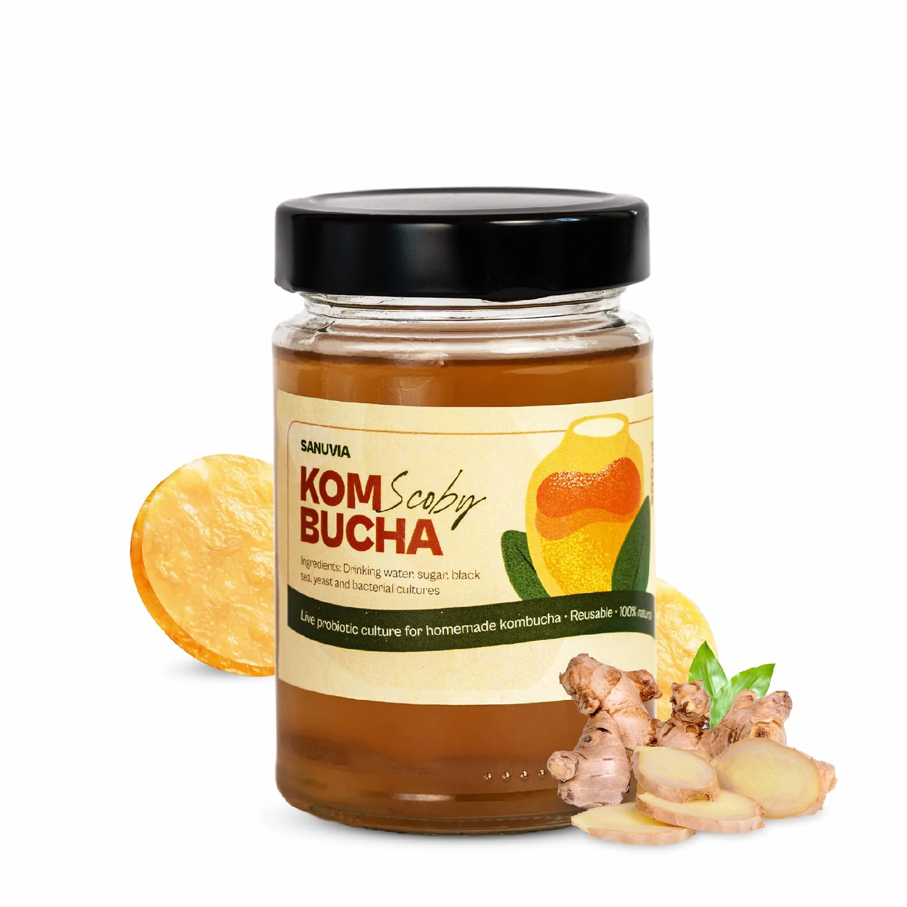 SANUVIA Kombucha SCOBY Starter Culture – Grzybek herbaciany z 300 ml herbaty startowej w szklanym słoiku – Wegański, żywa kultura, wielokrotnego użytku – Instrukcje na etykiecie – 100% naturalny