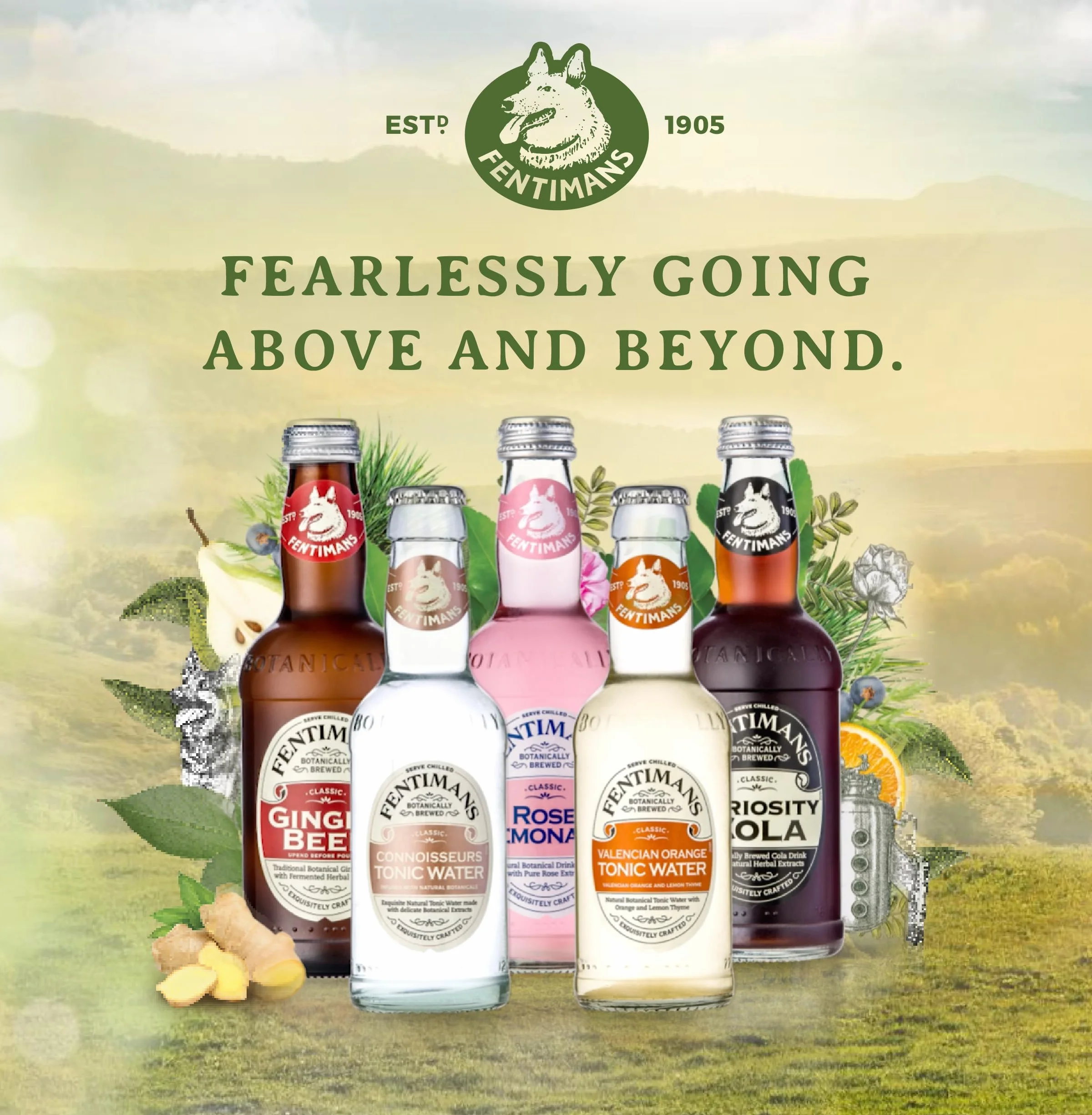Fentimans Sparkling Curiosity Cola – zdrowy napój gazowany, naturalny napój gazowany bez sztucznych aromatów, konserwantów i słodzików, botanicznie warzony - Curiosity Cola, 275 ml (12 sztuk)