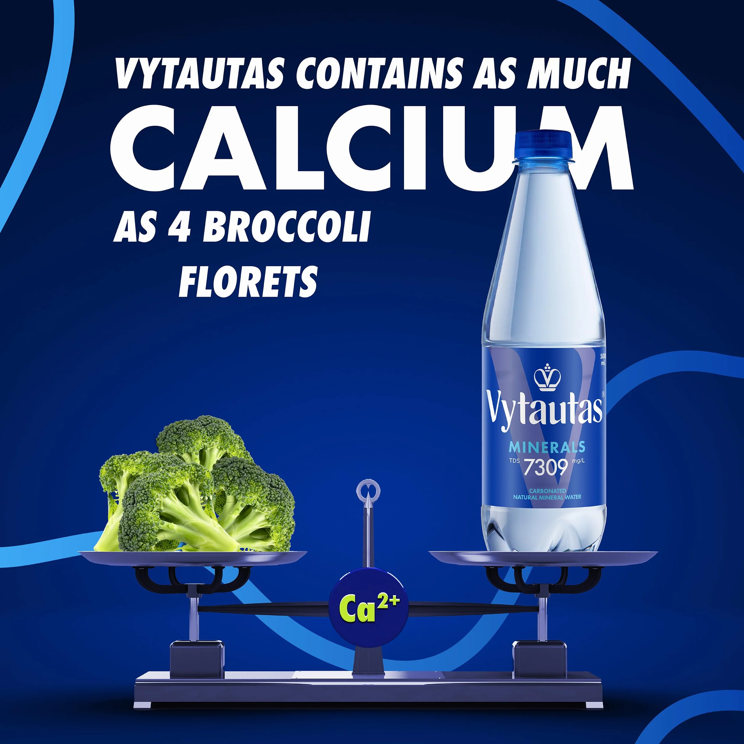 VYTAUTAS Woda Mineralna Gazowana 500 ml 12 sztuk Wysoka Mineralizacja