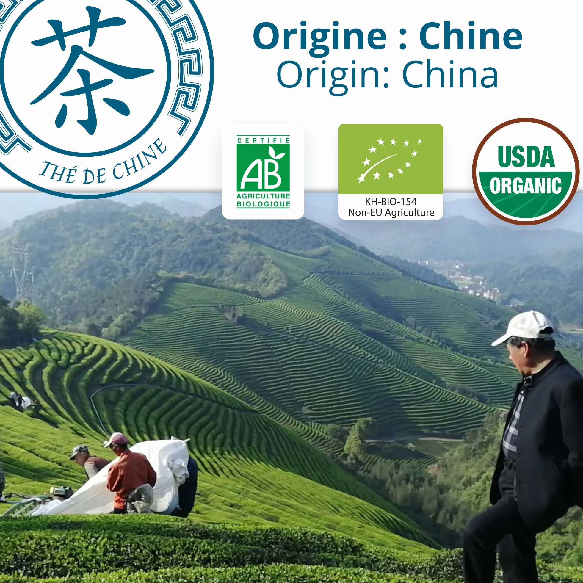 Organiczna niebieska herbata Oolong 80 torebek piramidy - Herbata azjatycka z Chin