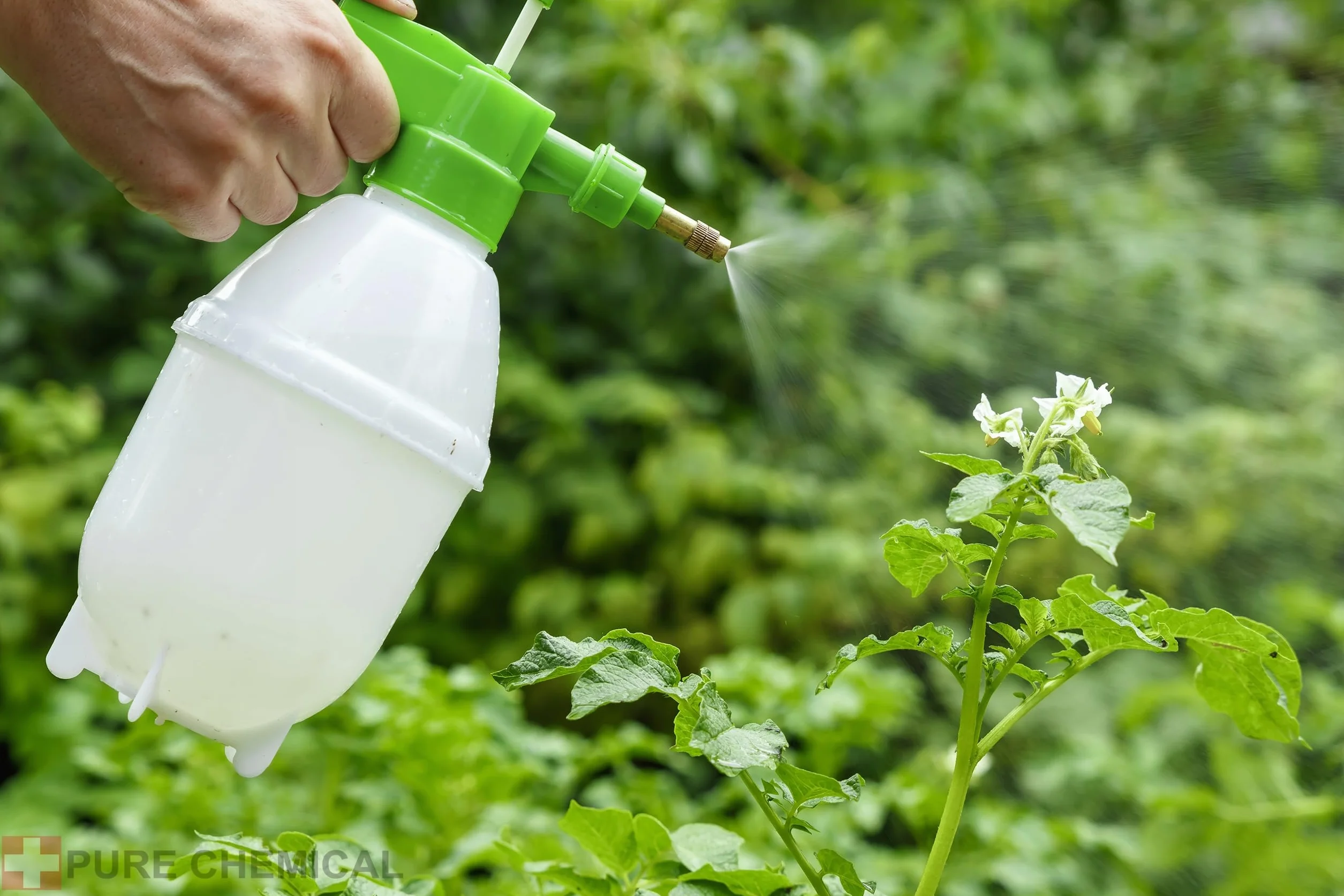 Soda Oczyszczona Czysty Wodorowęglan Sodu 5kg Wybielacz Organiczna do Domowego Spa