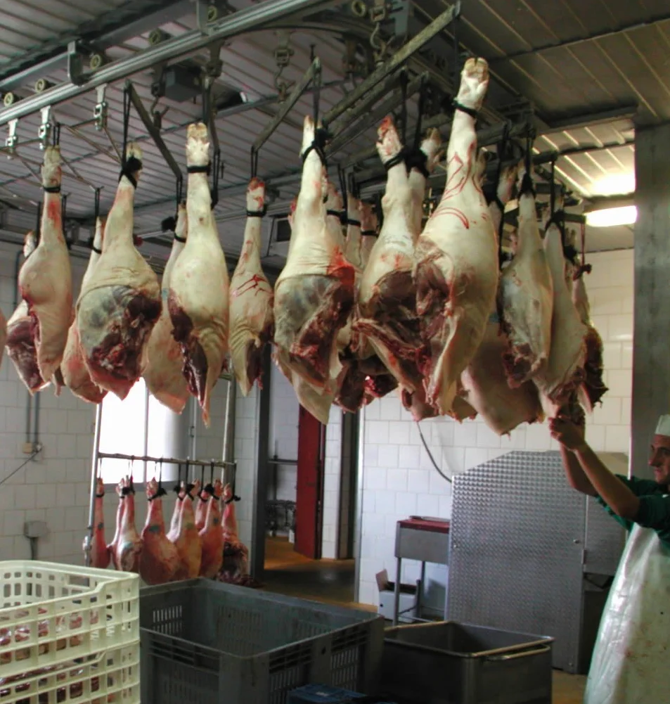 Embutidos Morato Jamon Iberico de Cebo Marynowany 24 Miesiecy 7/8 Kg