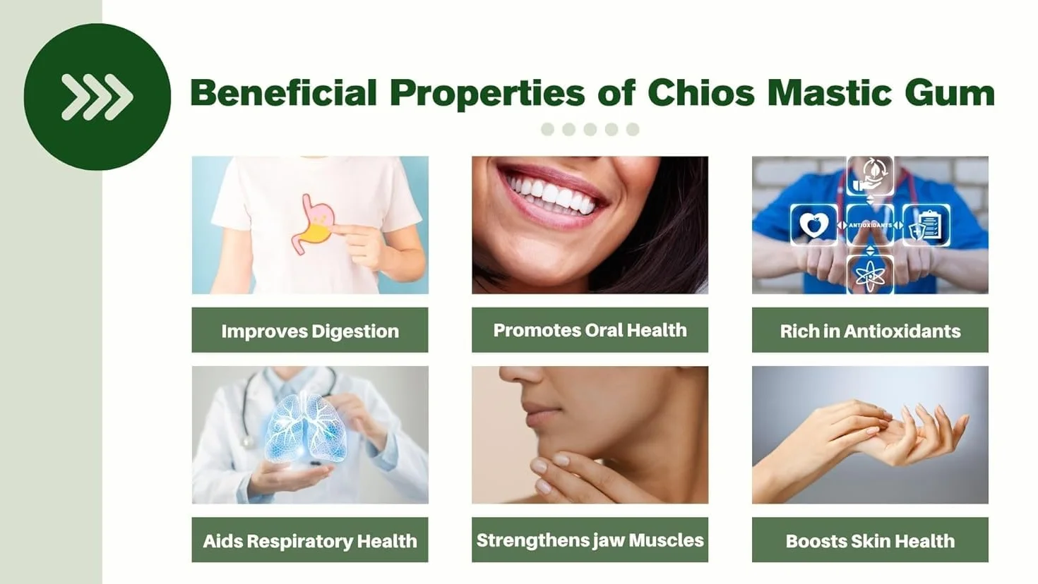 Chios Mastic Mastyks produkowany przez producentów mastyksu (20gr średnich łez)