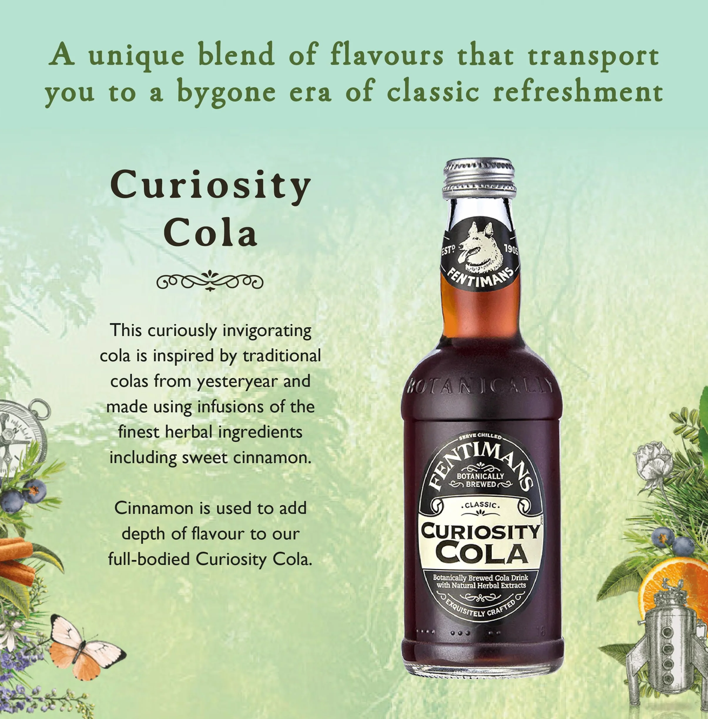 Fentimans Sparkling Curiosity Cola – zdrowy napój gazowany, naturalny napój gazowany bez sztucznych aromatów, konserwantów i słodzików, botanicznie warzony - Curiosity Cola, 275 ml (12 sztuk)