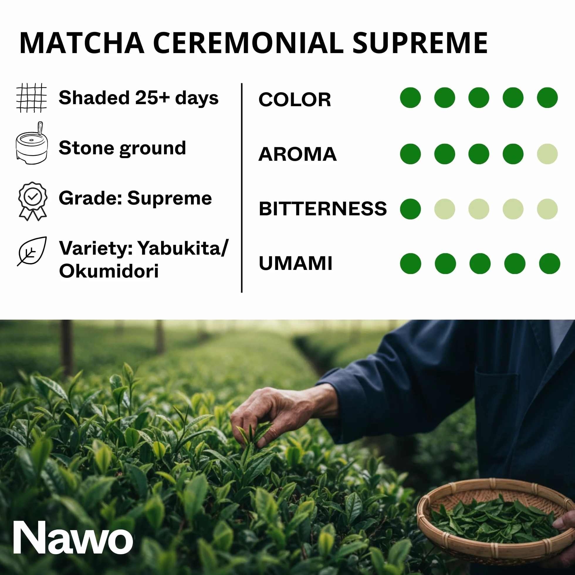 Nawo Matcha Barista 500 g Ekologiczna Zielona Herbata z Japonii Klasa Supreme Ceremonial