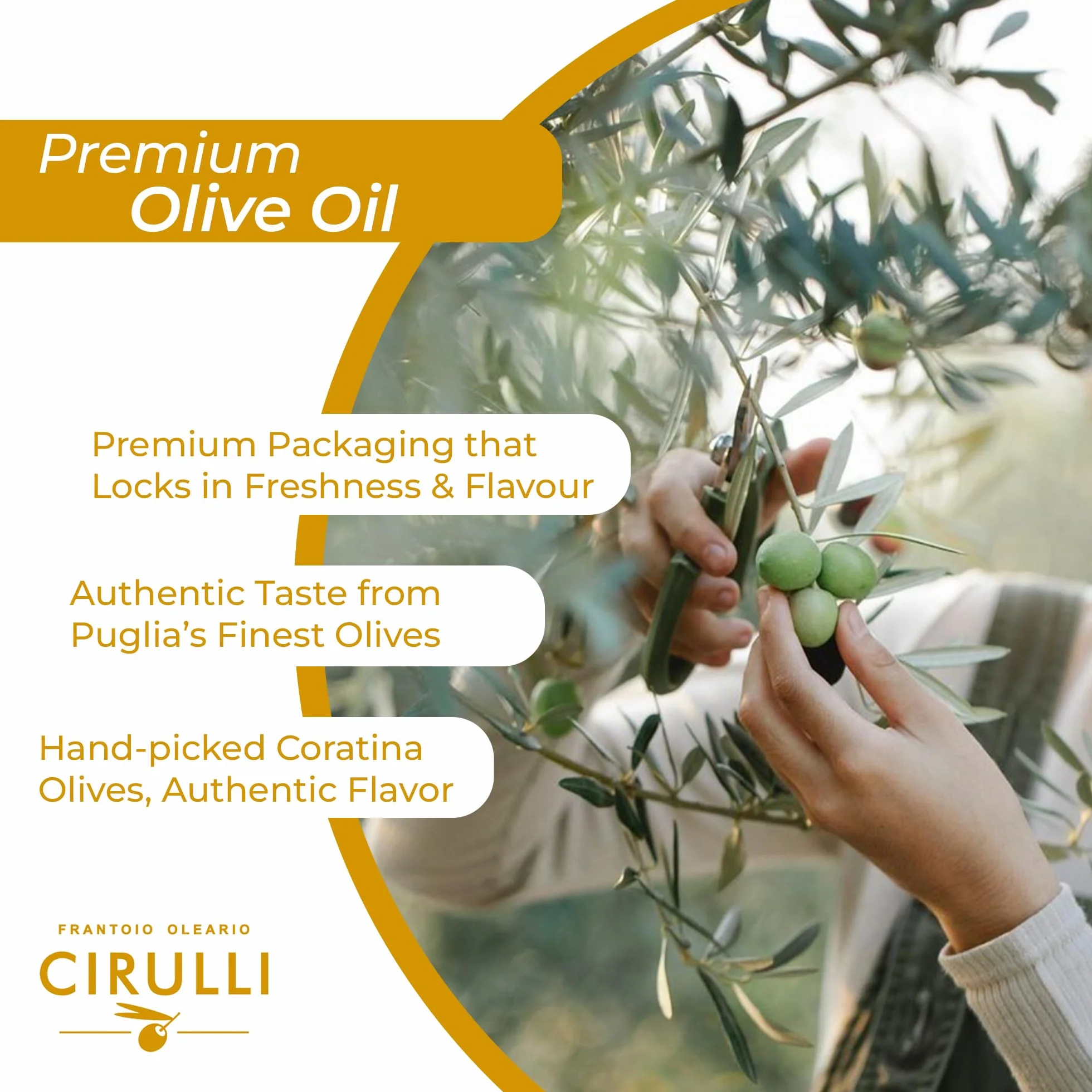 Frantoio Oleario Cirulli Extra Virgin Olive Oil Puszka EVO 3 litry