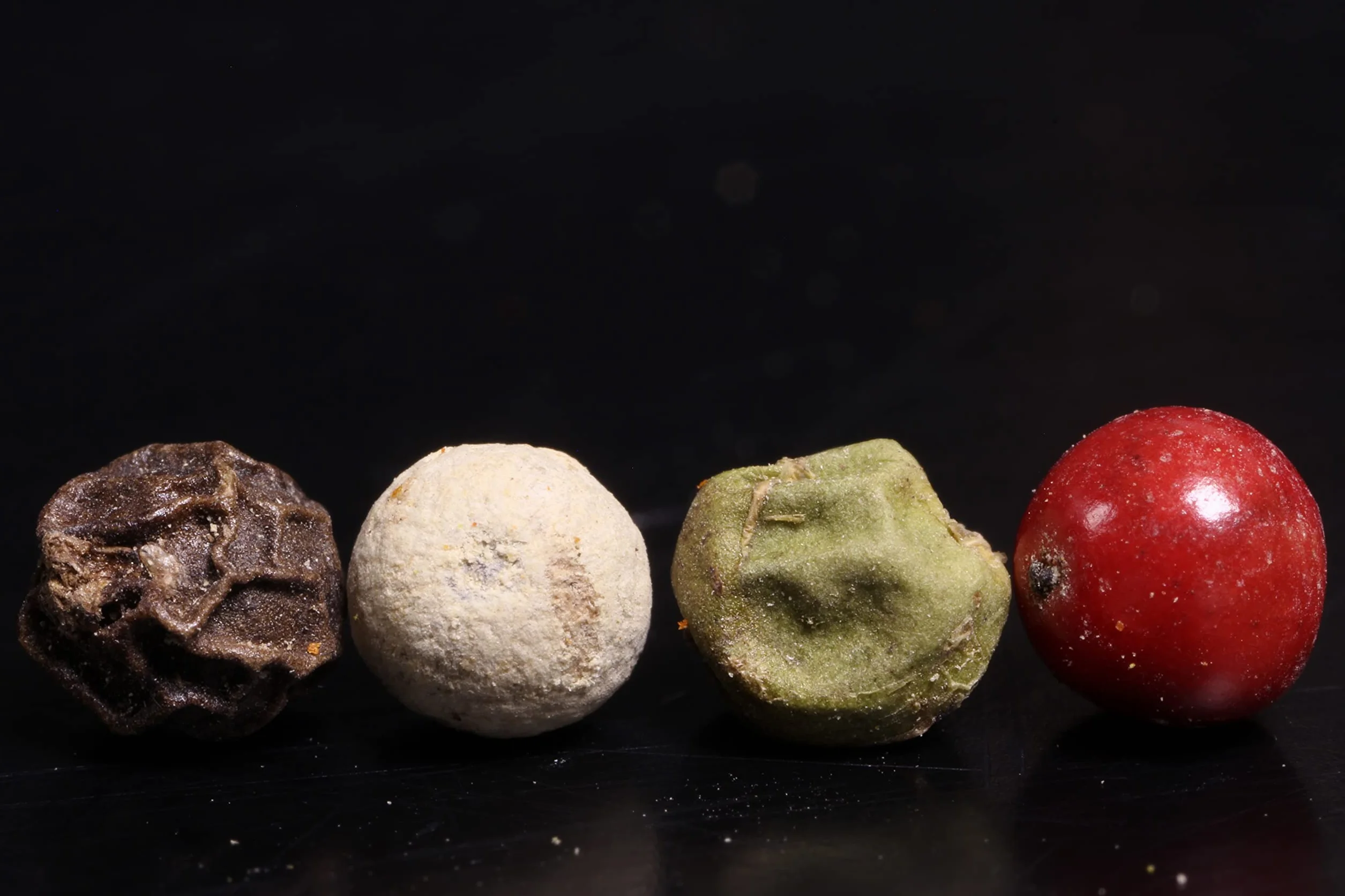 Minotaur Spices | Mieszanka Pieprzu | 2 x 500g (1 Kg) | Pieprz Kolorowy z Czarnego, Białego, Zielonego Pieprzu i Różowych Jagód