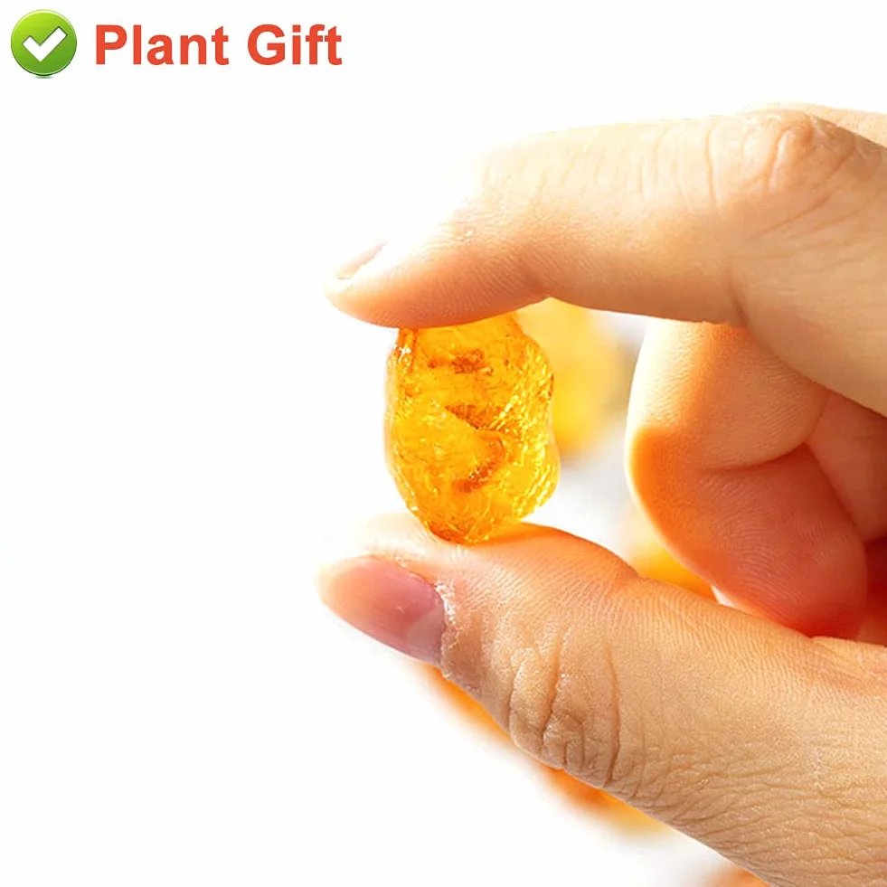 Plant Gift Natural Wild Peach Gum 230G/8.11oz jadalne łzy brzoskwiniowe, tao jiao brzoskwiniowe żywice, dodatki do żywności za darmo